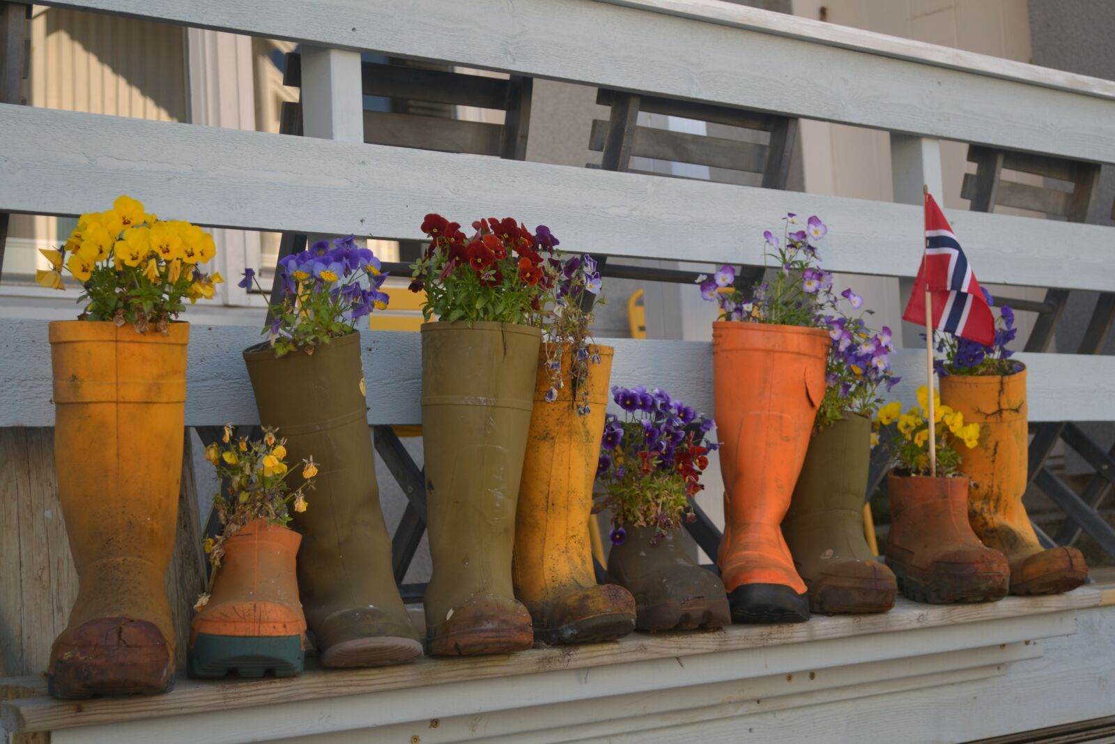 Nikon D3100 sample photo. Norway, decor, flowers photography