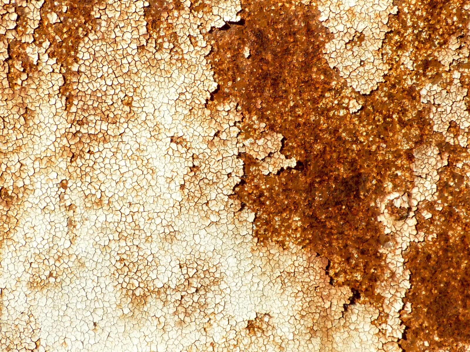 Panasonic DMC-FZ72 sample photo. Background, rust, metal photography