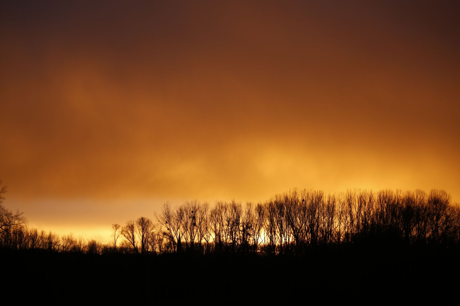 Canon EF 24-105mm F4L IS USM sample photo. Sunrise, morning, landscape photography