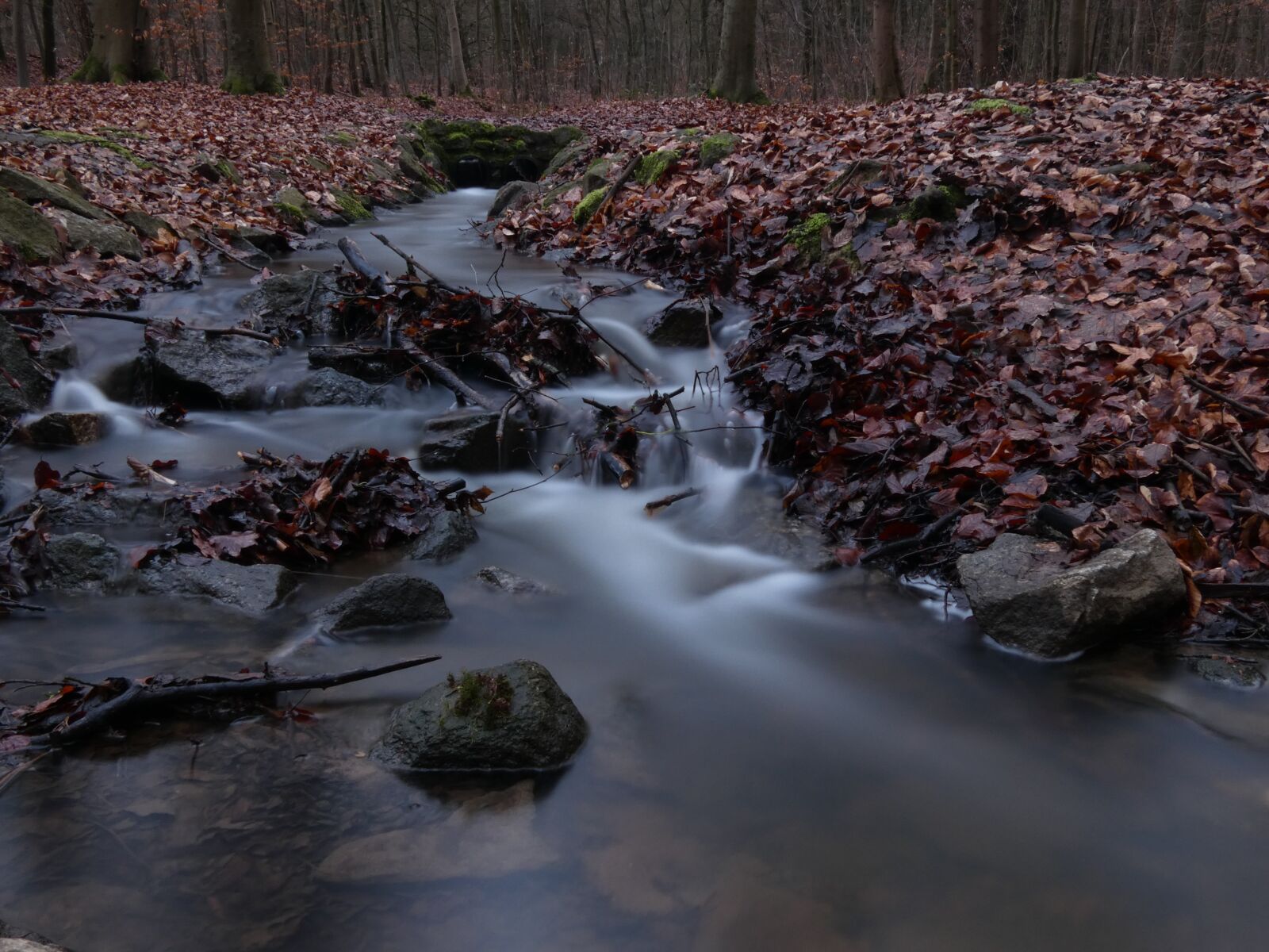 Panasonic DC-FZ83 sample photo. Bach, long exposure, water photography