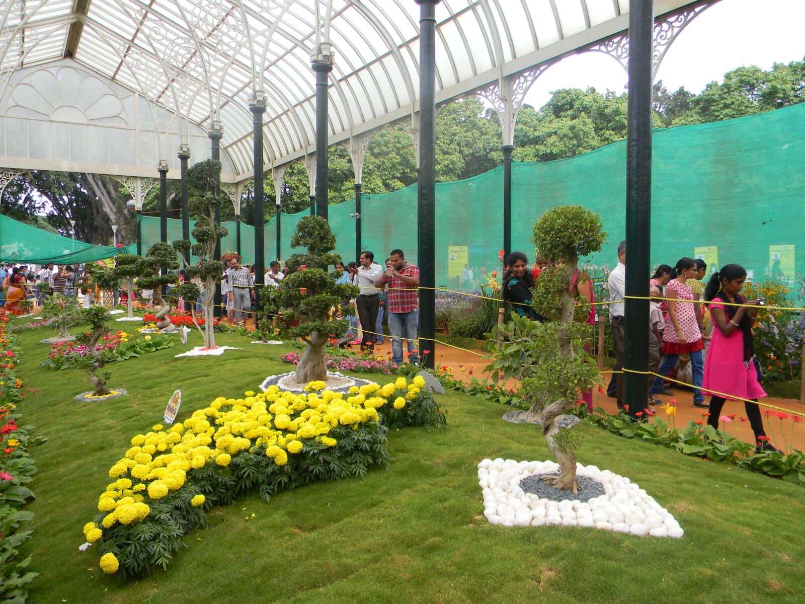 Nikon Coolpix L110 sample photo. Lalbagh flower show, flower photography
