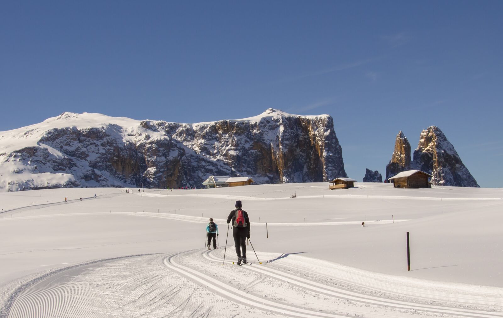 Canon EOS 700D (EOS Rebel T5i / EOS Kiss X7i) sample photo. Cross country skiing, classic photography