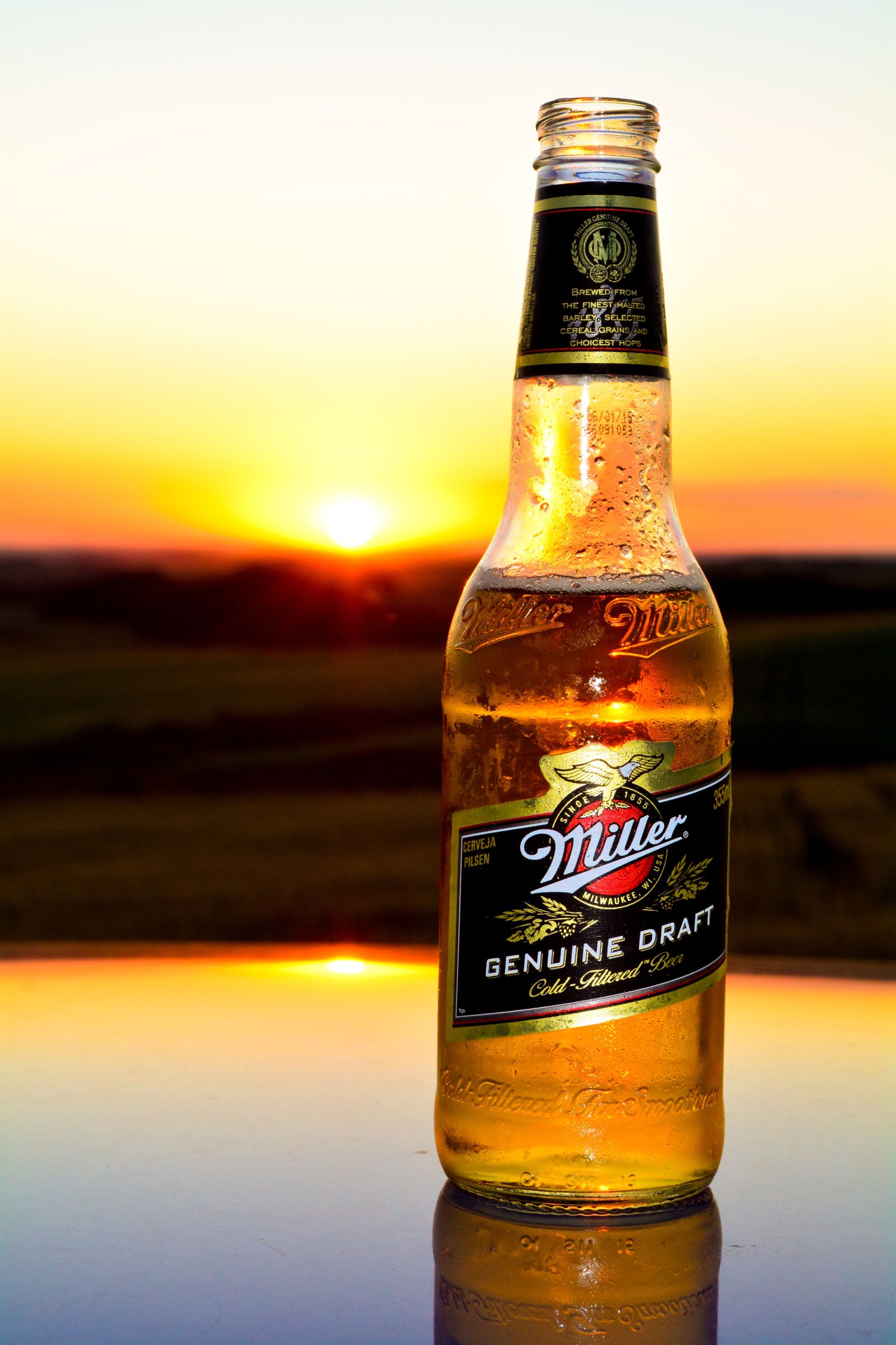 Nikon D5200 sample photo. Beer, sunset, sol photography