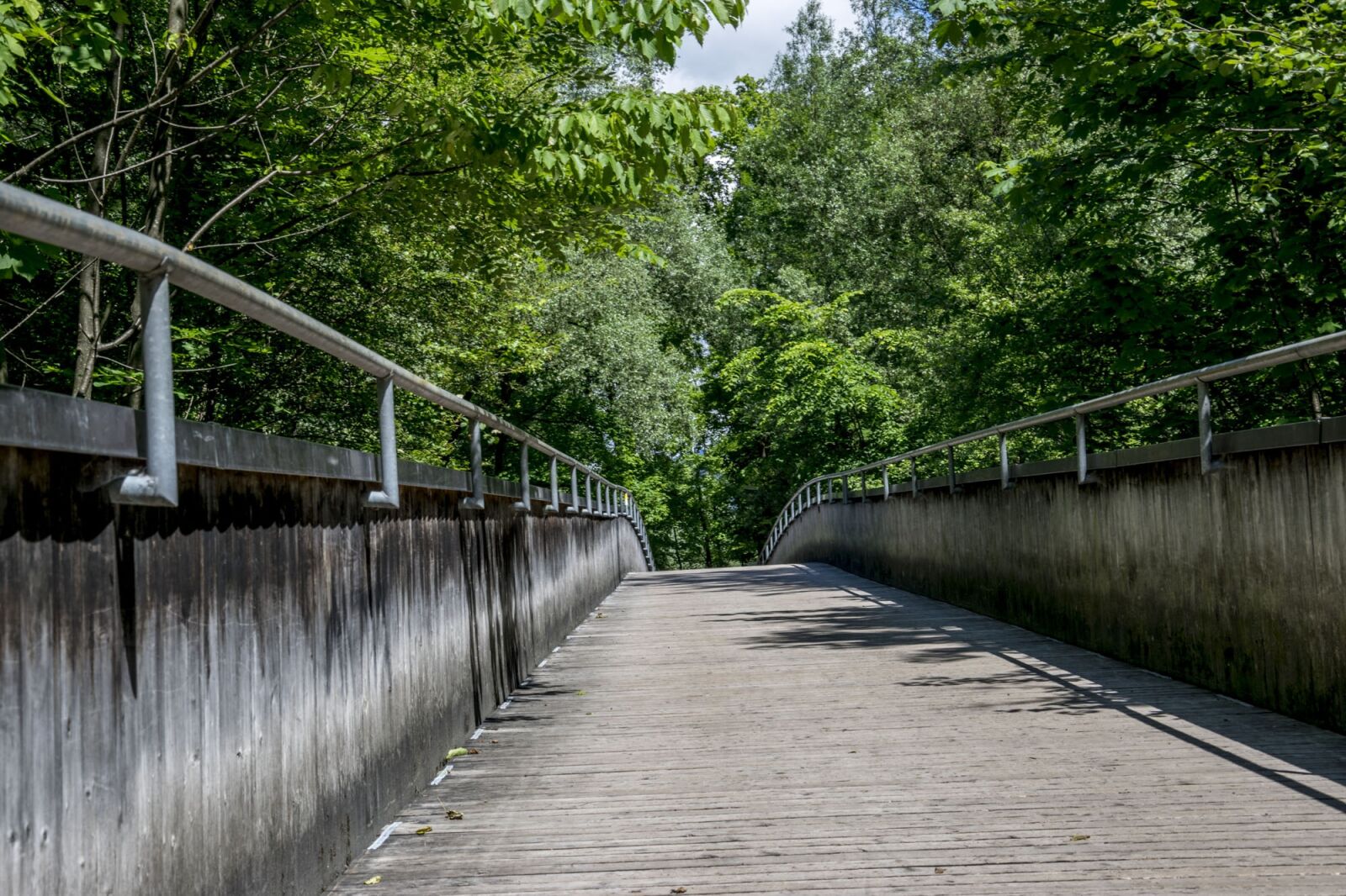 Nikon D5300 sample photo. Web, bridge, hiking photography