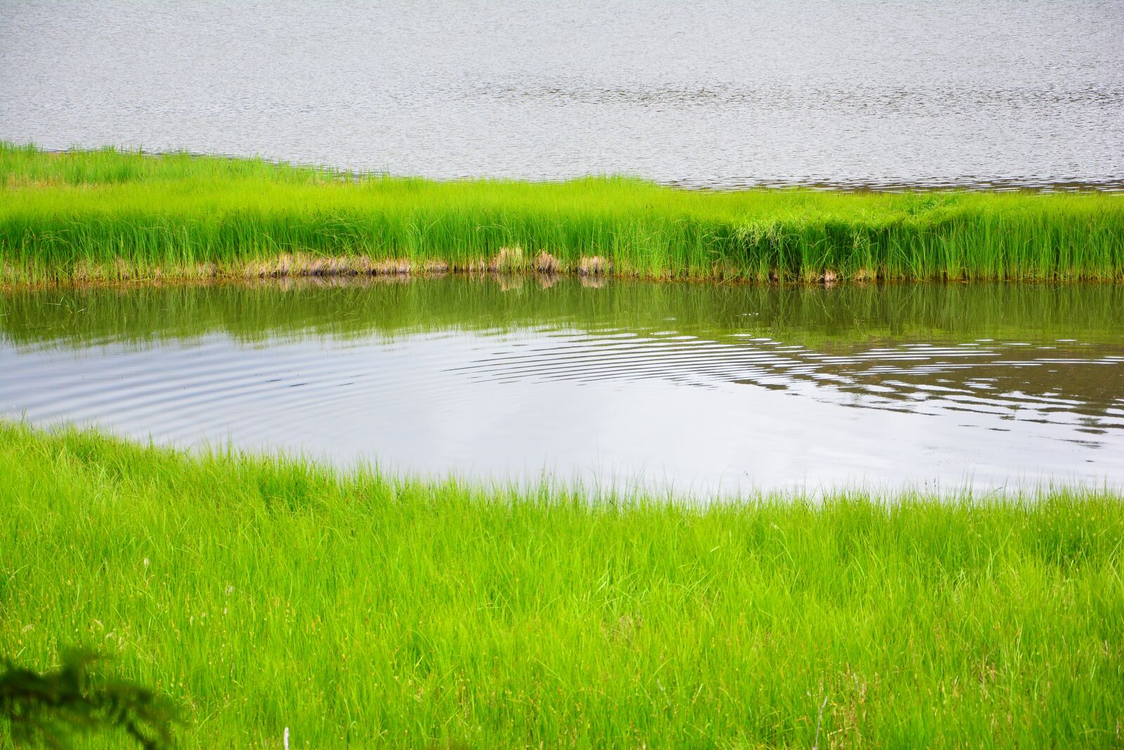 Nikon D7100 sample photo. The scenery, shangri-la's, pudacuo photography