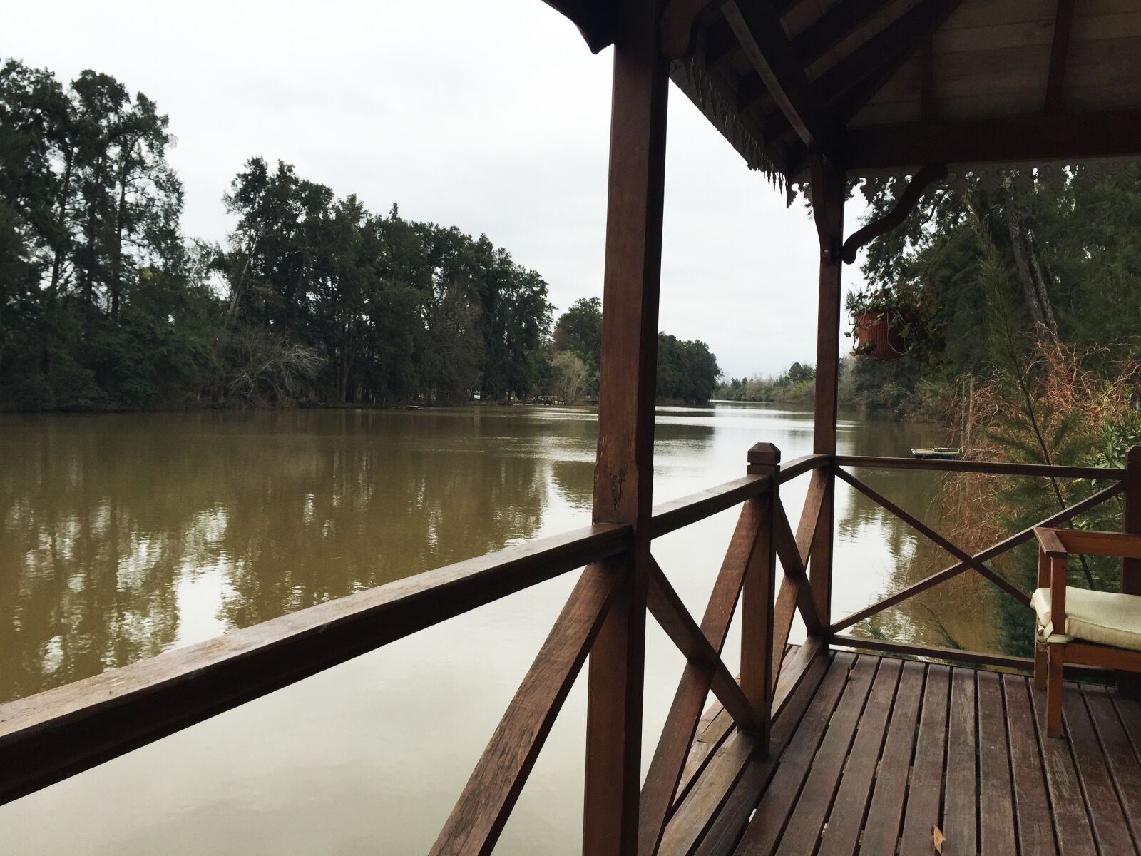 iPhone 6 back camera 4.15mm f/2.2 sample photo. Tiger, delta, argentina photography