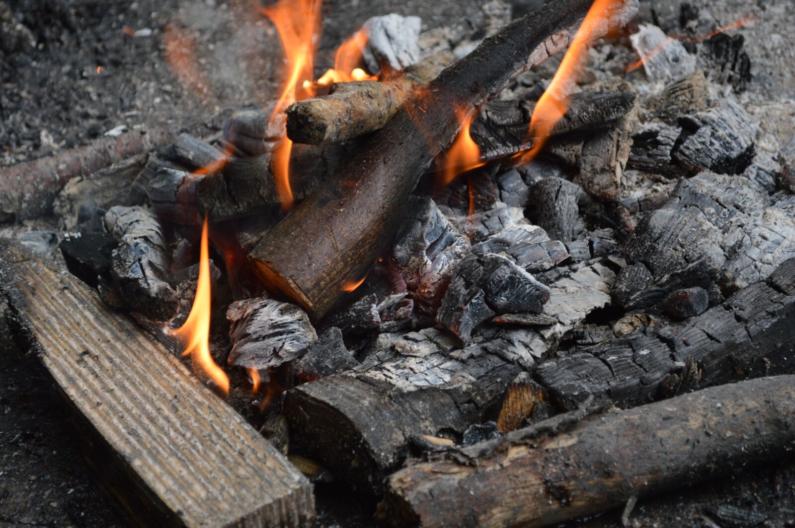 Nikon D3200 sample photo. Fire, campfire, flame photography