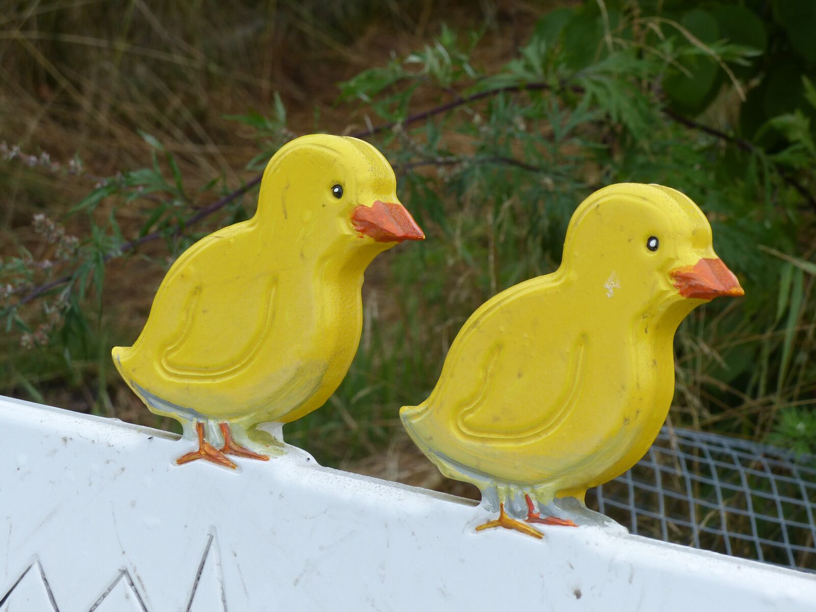 Panasonic Lumix DMC-FZ200 sample photo. Chicks, sofa, summer photography