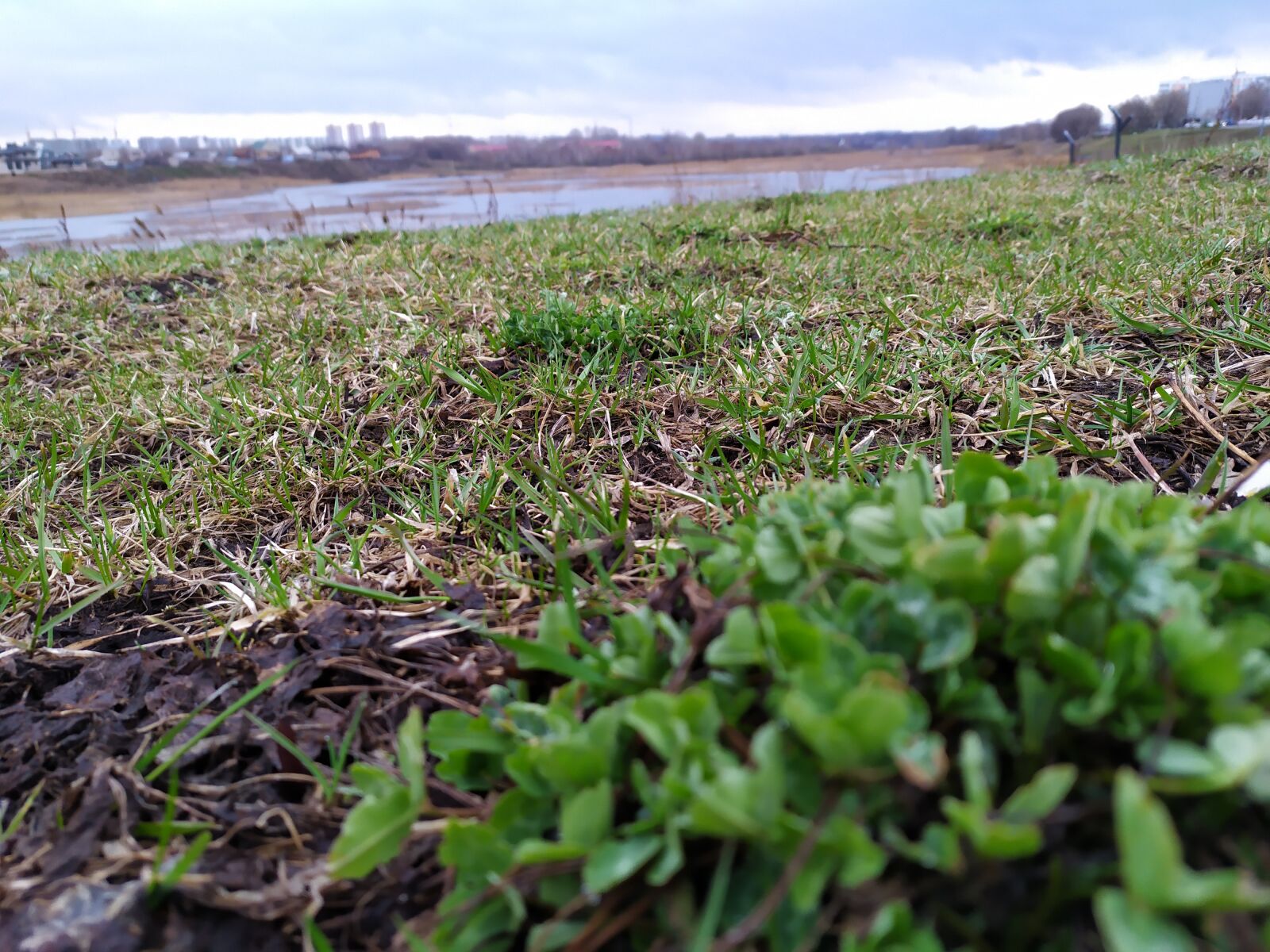Xiaomi Redmi Note 7 sample photo. Horizon, fields, land photography