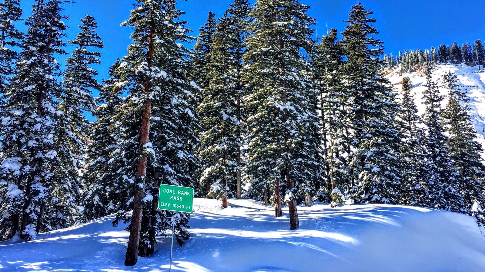 Apple iPhone 6 sample photo. Snow, colorado, trees photography