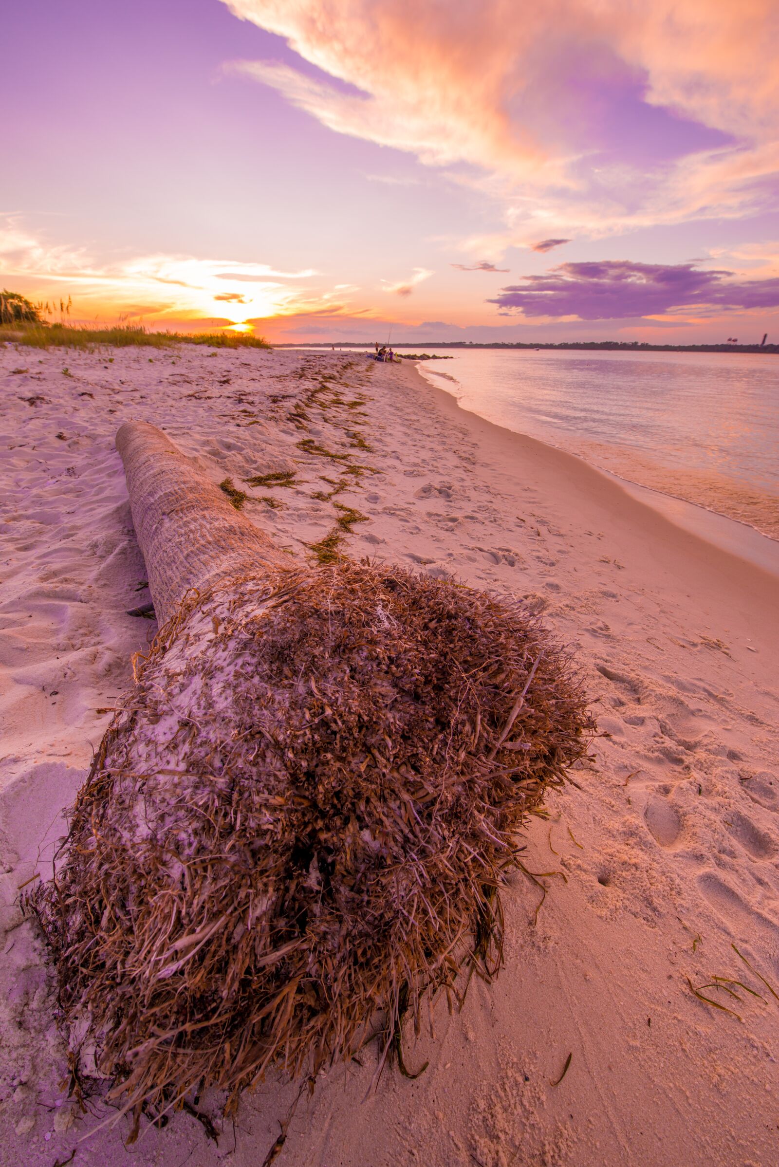 Nikon D800 sample photo. Beach, gulf coast, florida photography