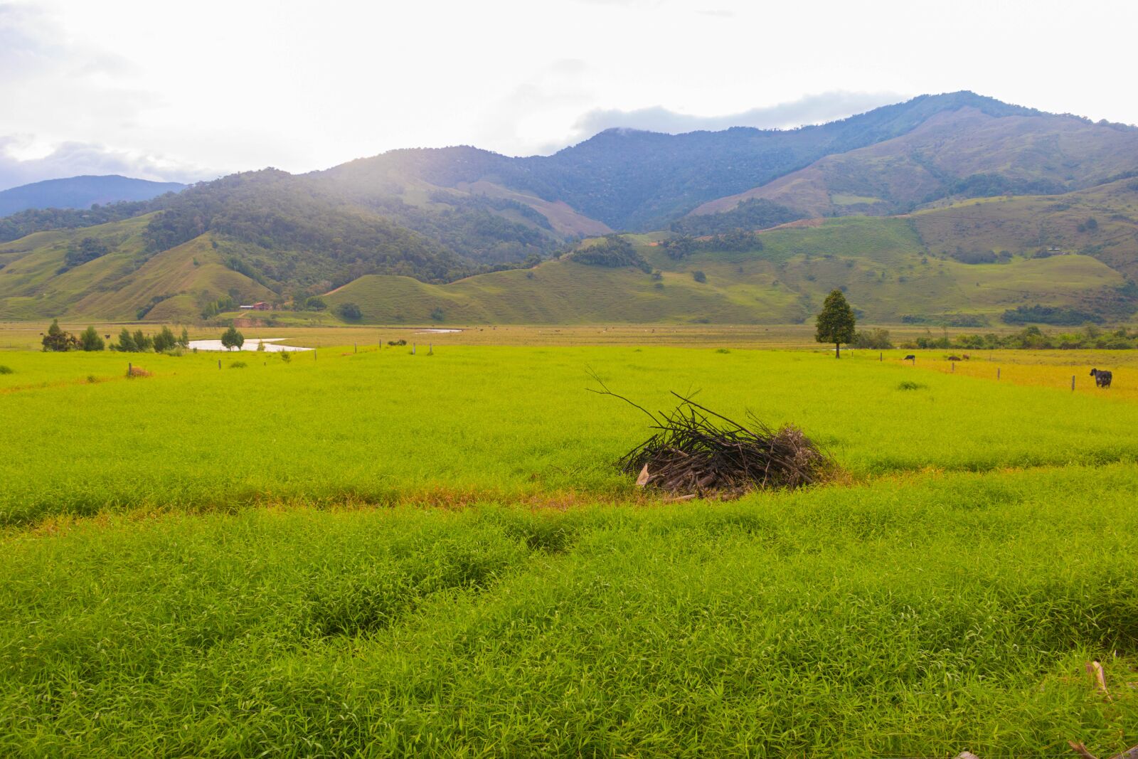 Canon EOS 750D (EOS Rebel T6i / EOS Kiss X8i) sample photo. Mountains, green, grass photography
