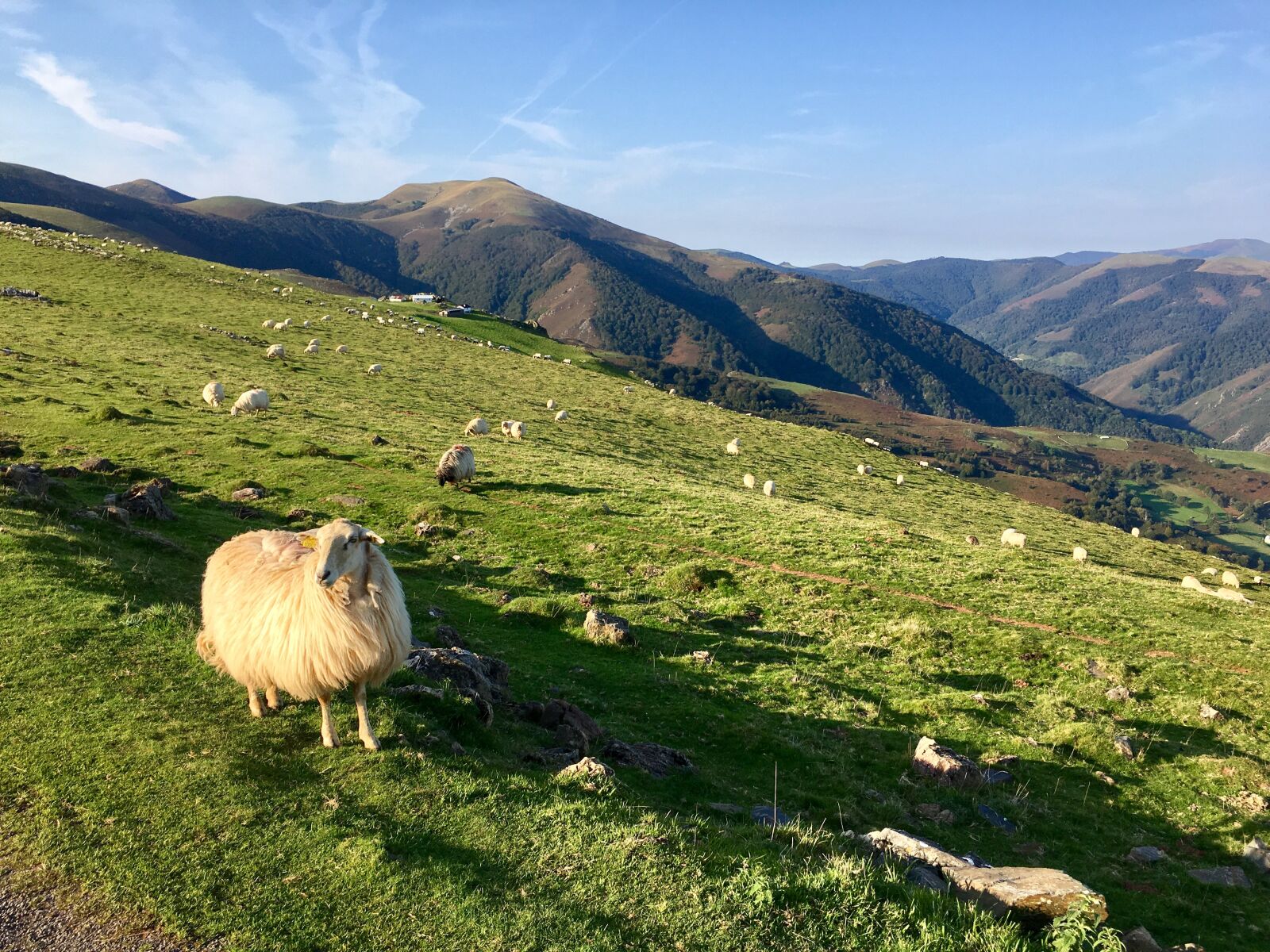 iPhone 6s back camera 4.15mm f/2.2 sample photo. Mountain, nature, landscape photography