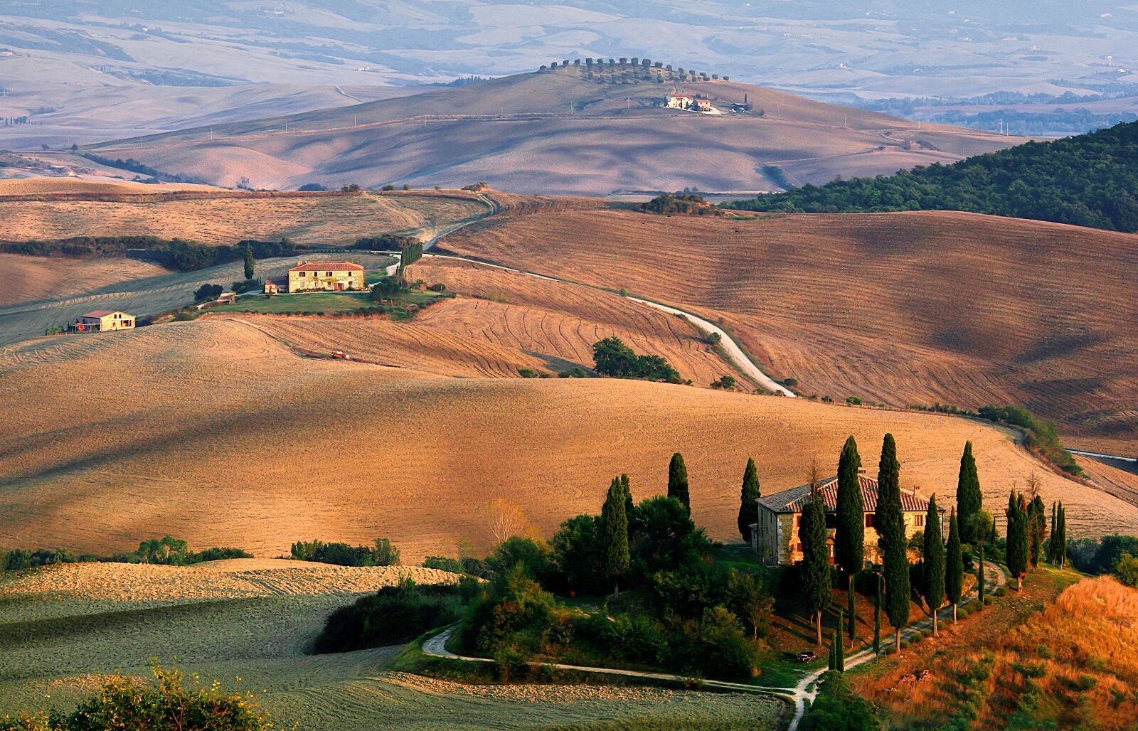 Canon EOS 30D sample photo. Tuscany, landscape, cypress photography