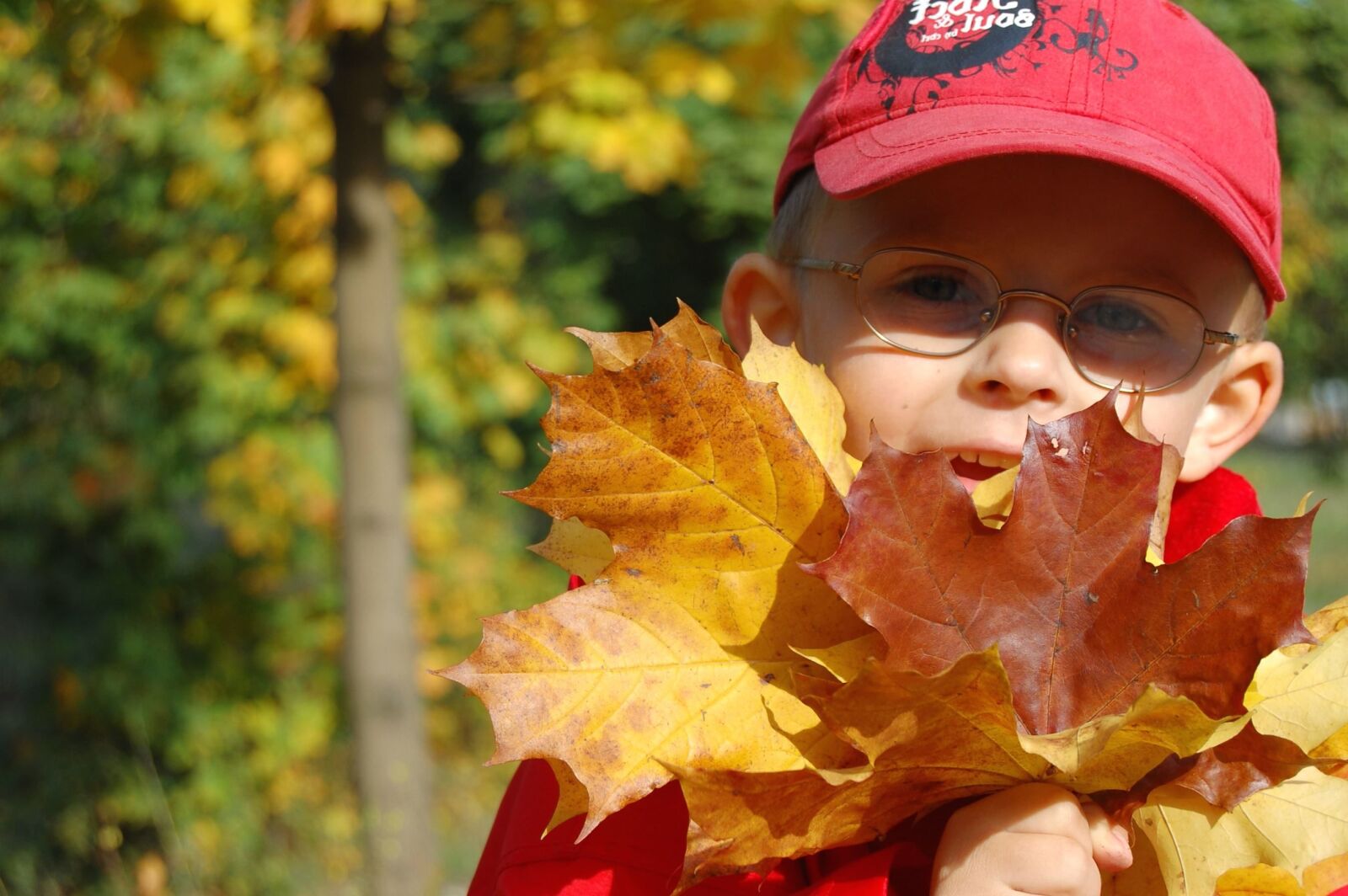 Nikon D40 sample photo. Child, leaf, nature, sum photography