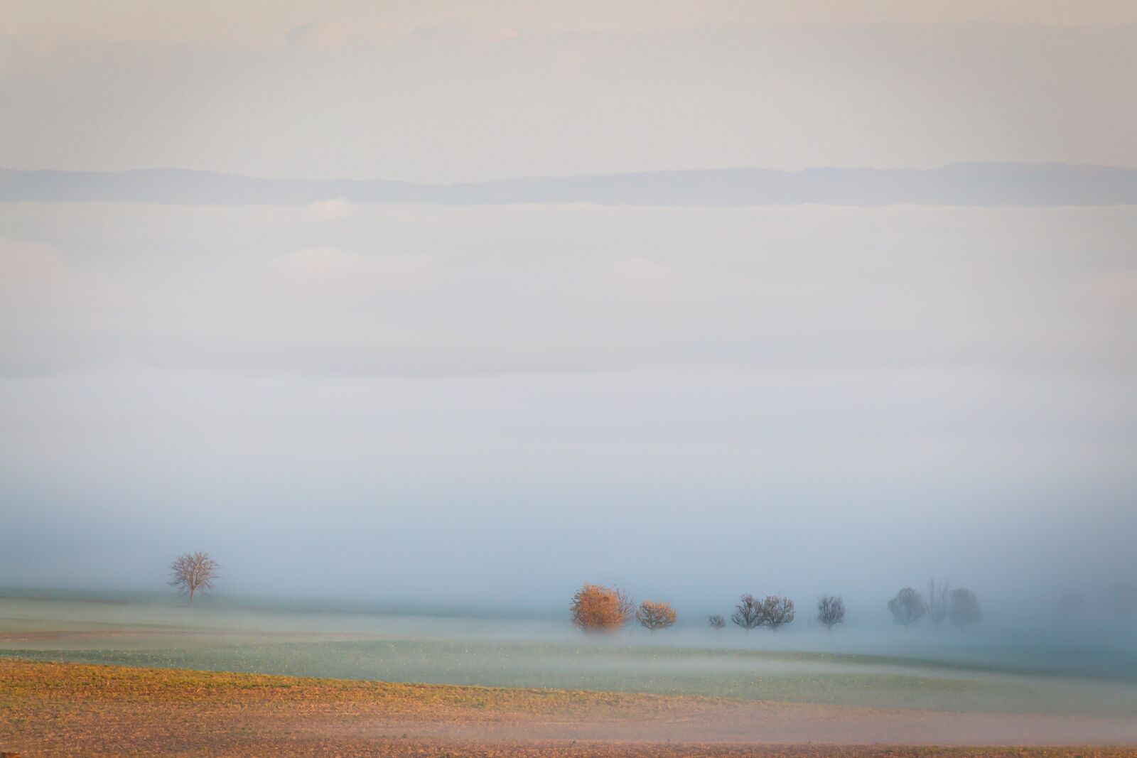 Canon EOS 6D sample photo. Fog, landscape, nature photography