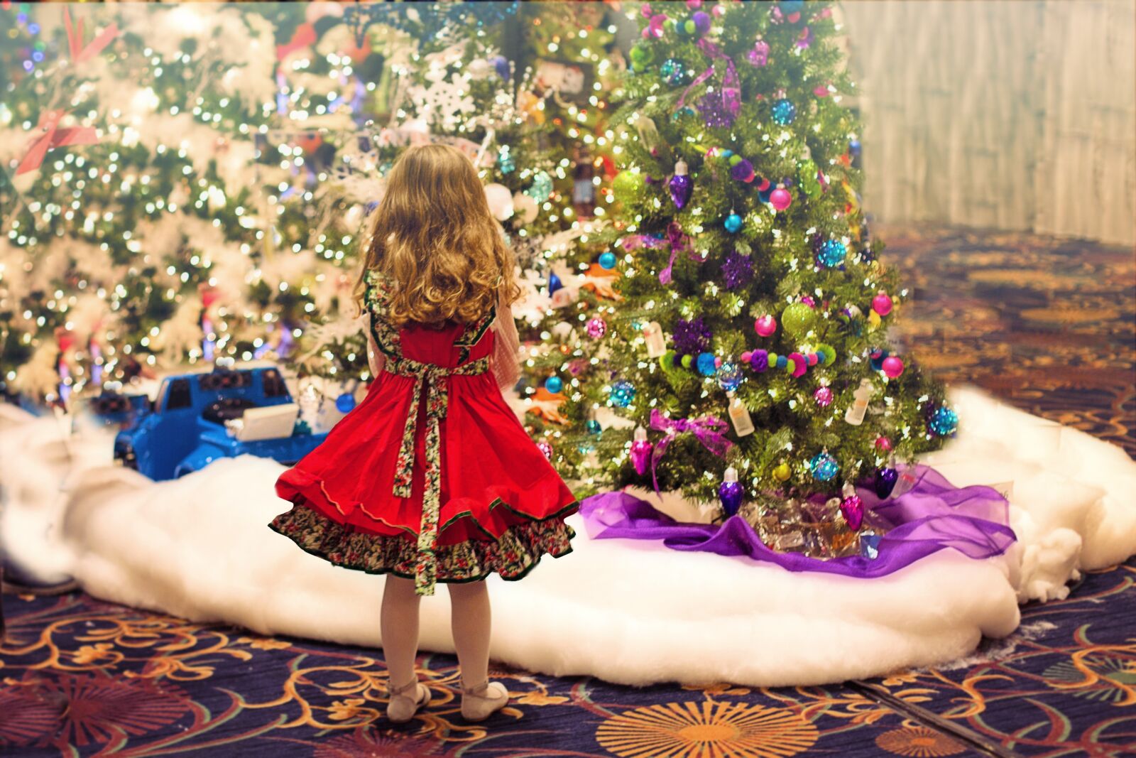 Canon EF 50mm F1.4 USM sample photo. Christmas, trees, sparkly photography