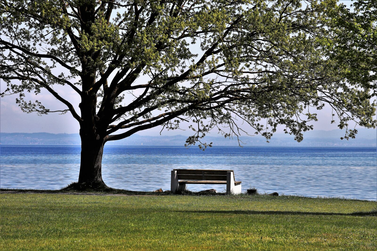 Canon EOS 80D sample photo. Spring, landscape, beach photography