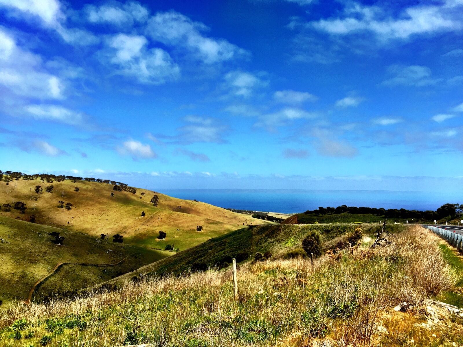 Apple iPhone + iPhone 6 back camera 4.15mm f/2.2 sample photo. Nature, hills, adelaide photography