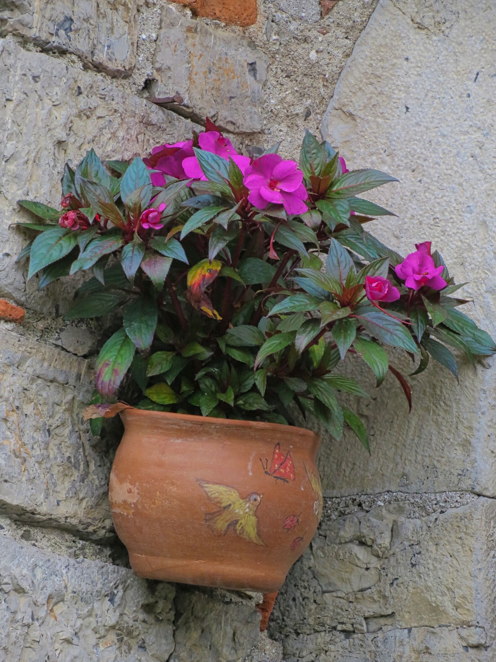 Canon PowerShot SX40 HS sample photo. Vase, flowers, decoration photography