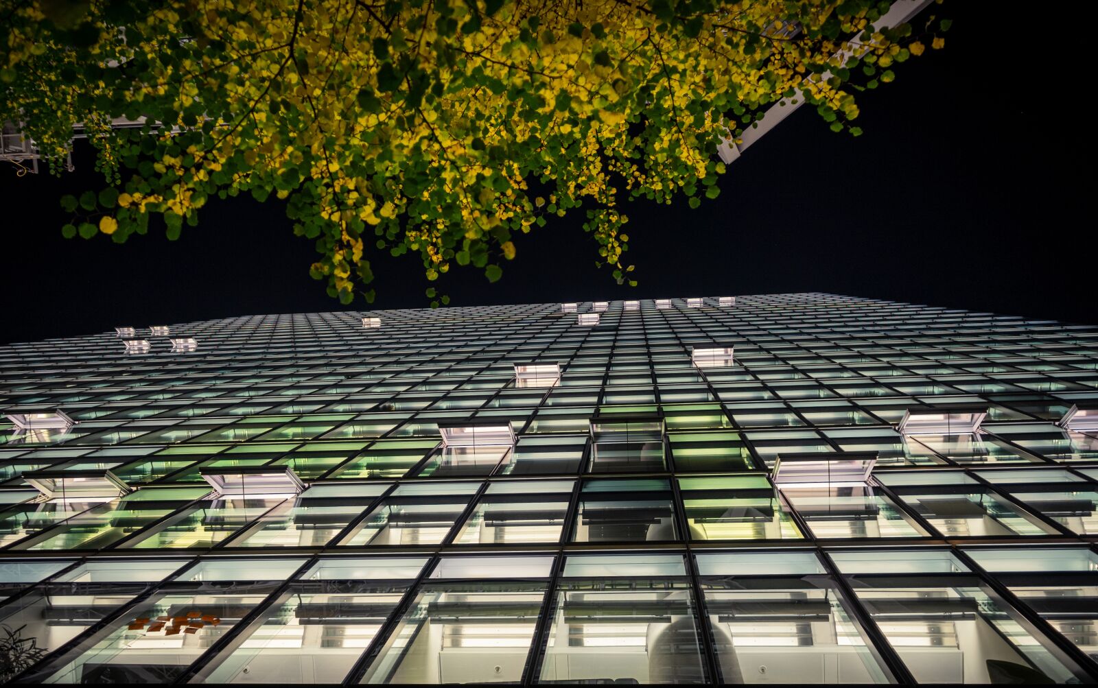 Sony a7 II + Sony FE 28-70mm F3.5-5.6 OSS sample photo. Night photograph, long exposure photography