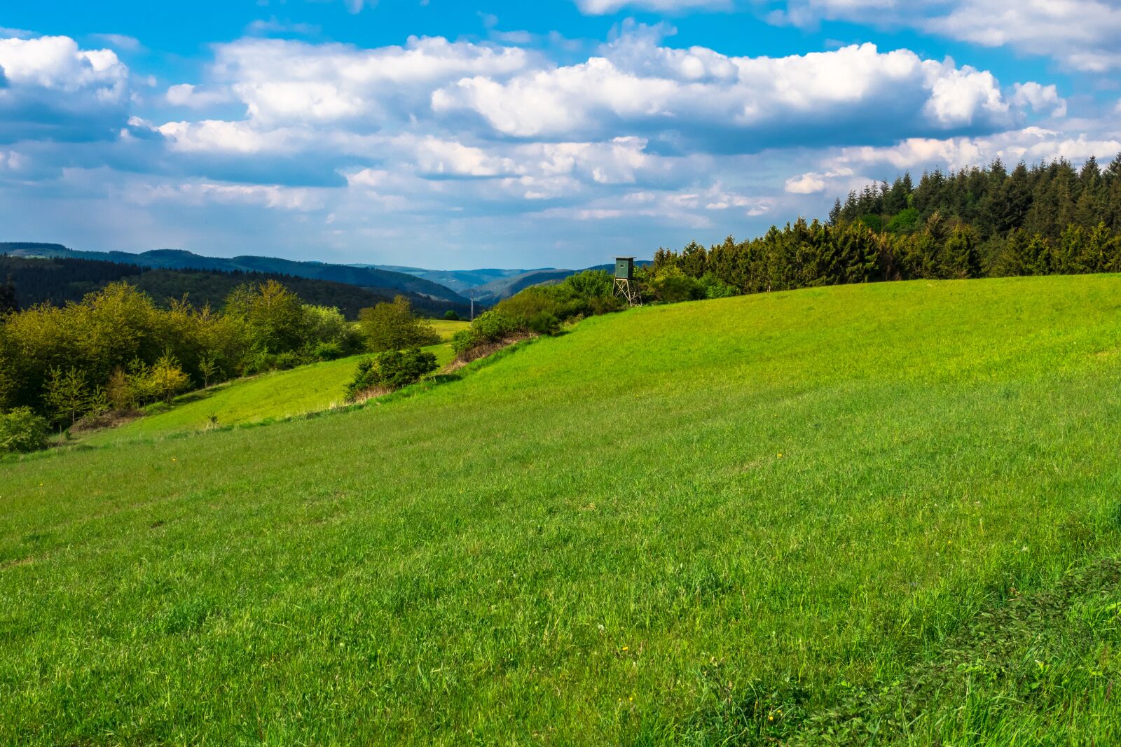 Canon PowerShot G3 X sample photo. Meadow, pasture, hill photography
