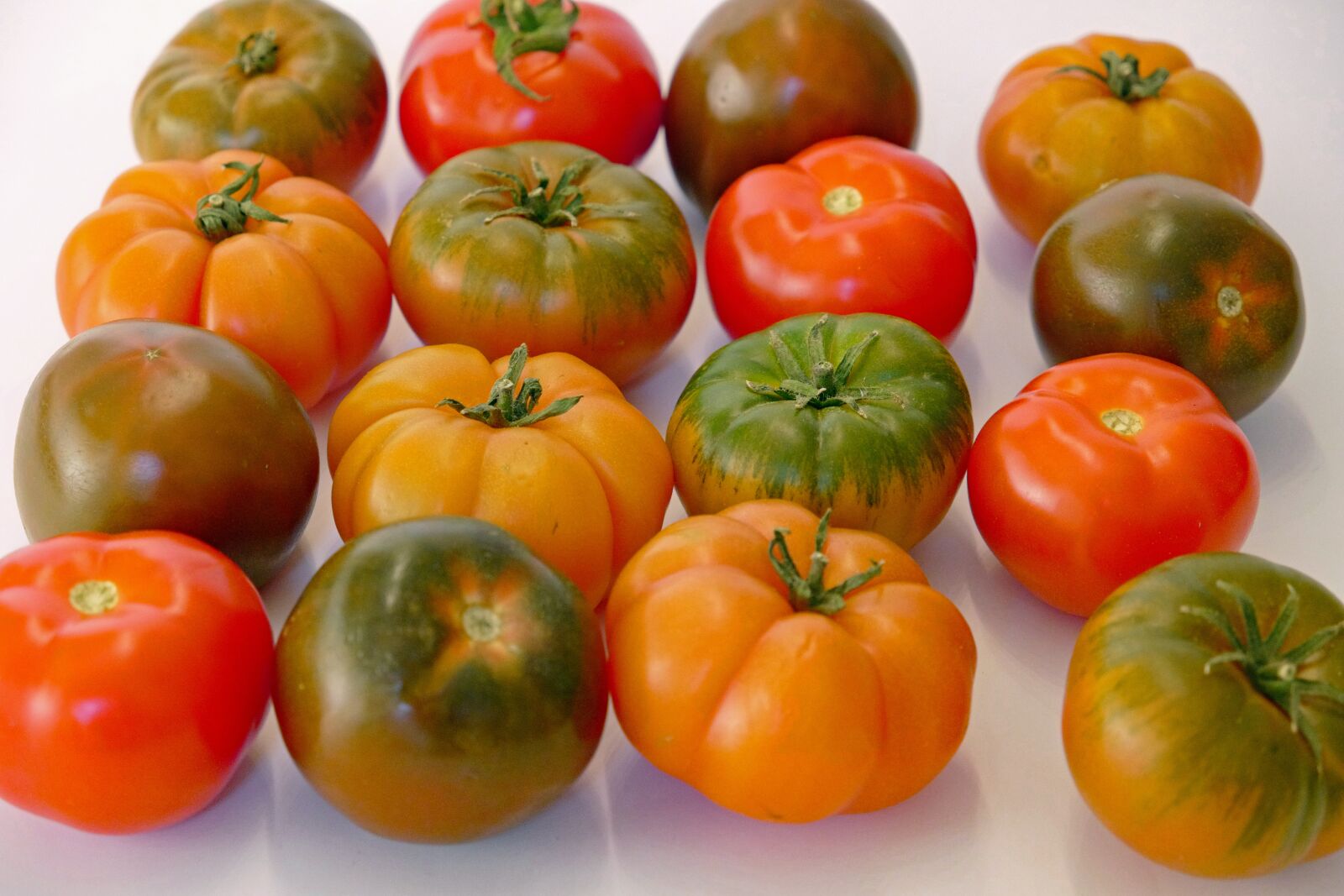 Vario-Elmar TL 1:3.5-5.6 / 18-56 ASPH. sample photo. Tomato, tomatoes, colorful photography