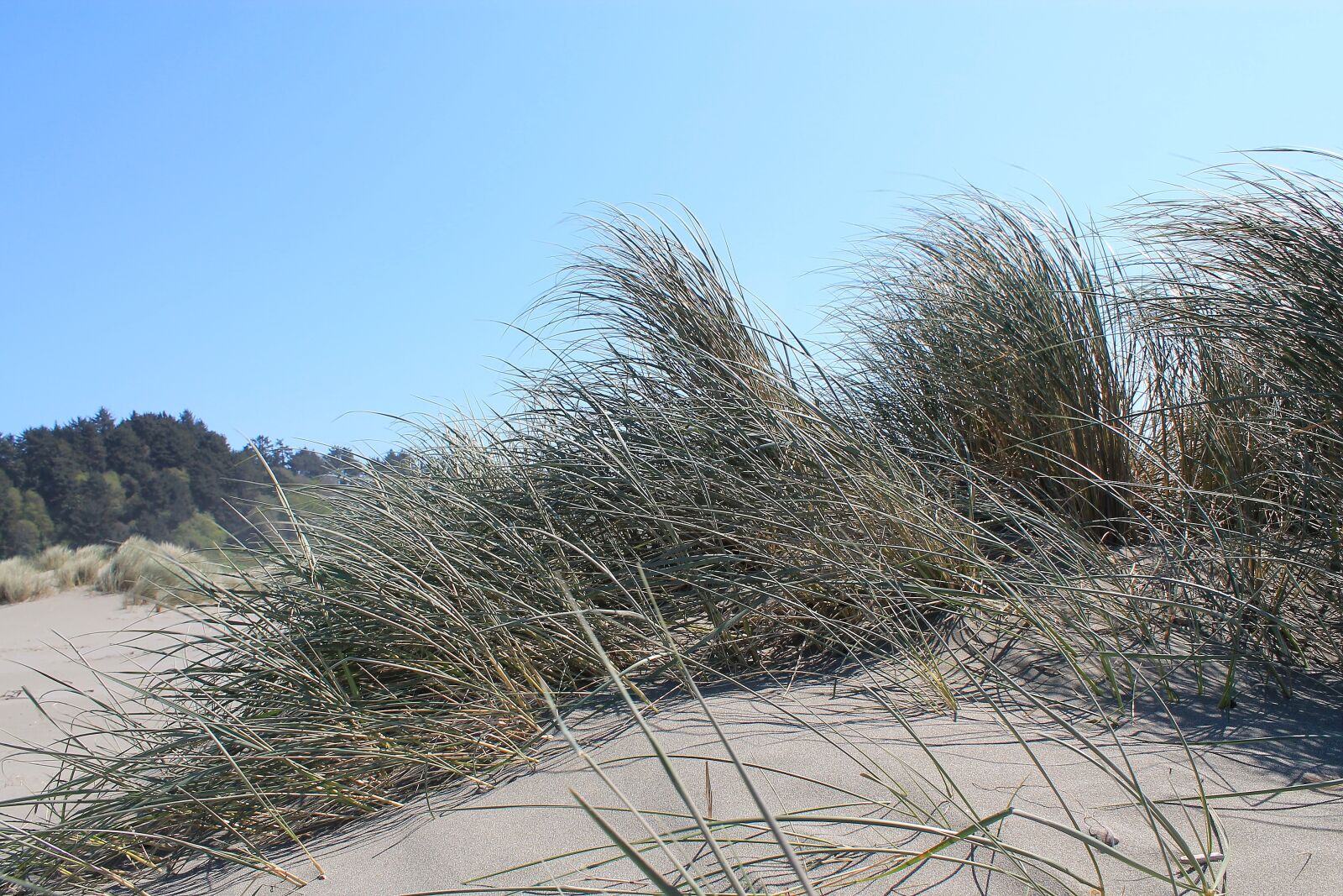 Canon EOS 1100D (EOS Rebel T3 / EOS Kiss X50) sample photo. Seascape, california, pacific photography