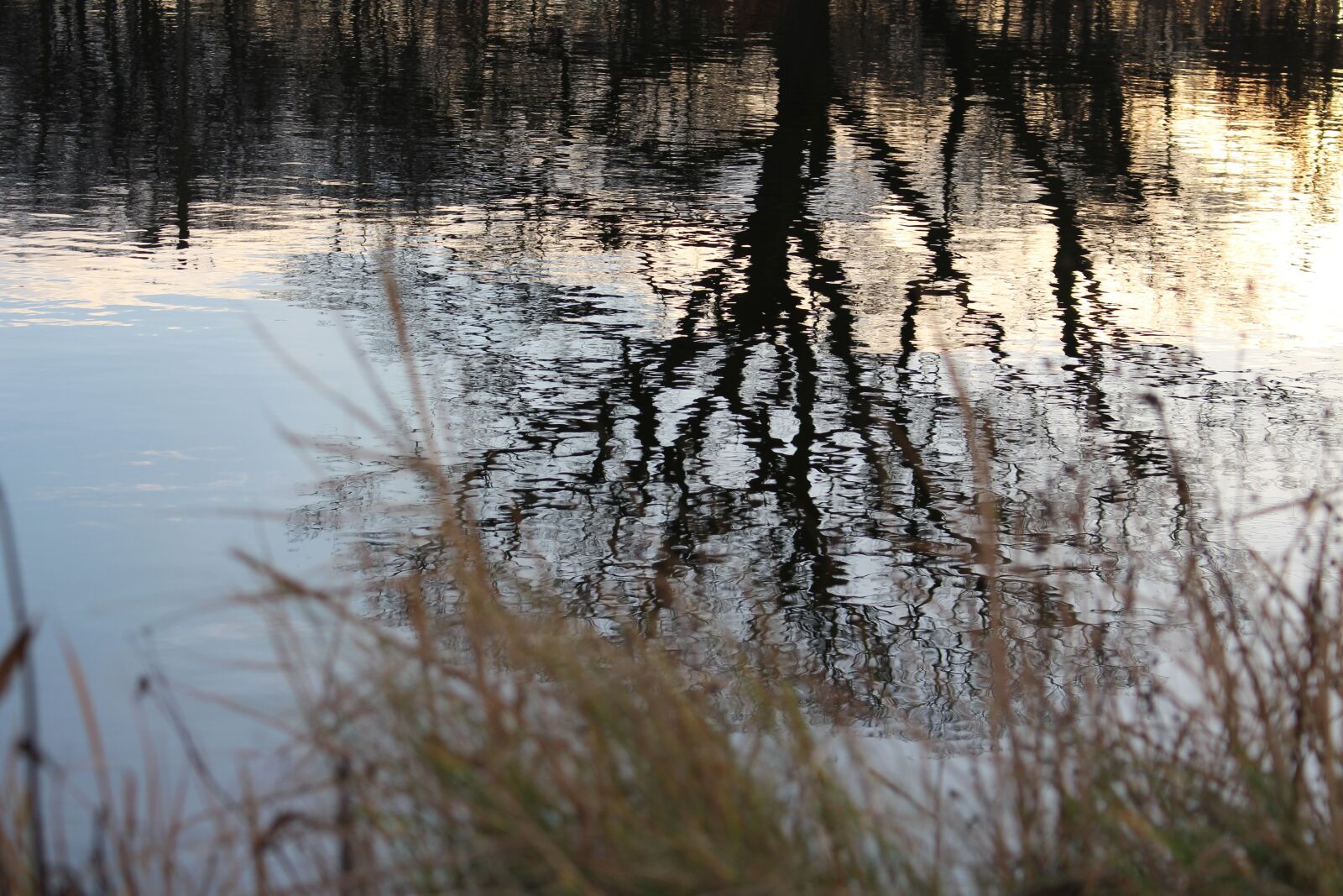 Canon EOS 700D (EOS Rebel T5i / EOS Kiss X7i) sample photo. Water, tree, reflection photography