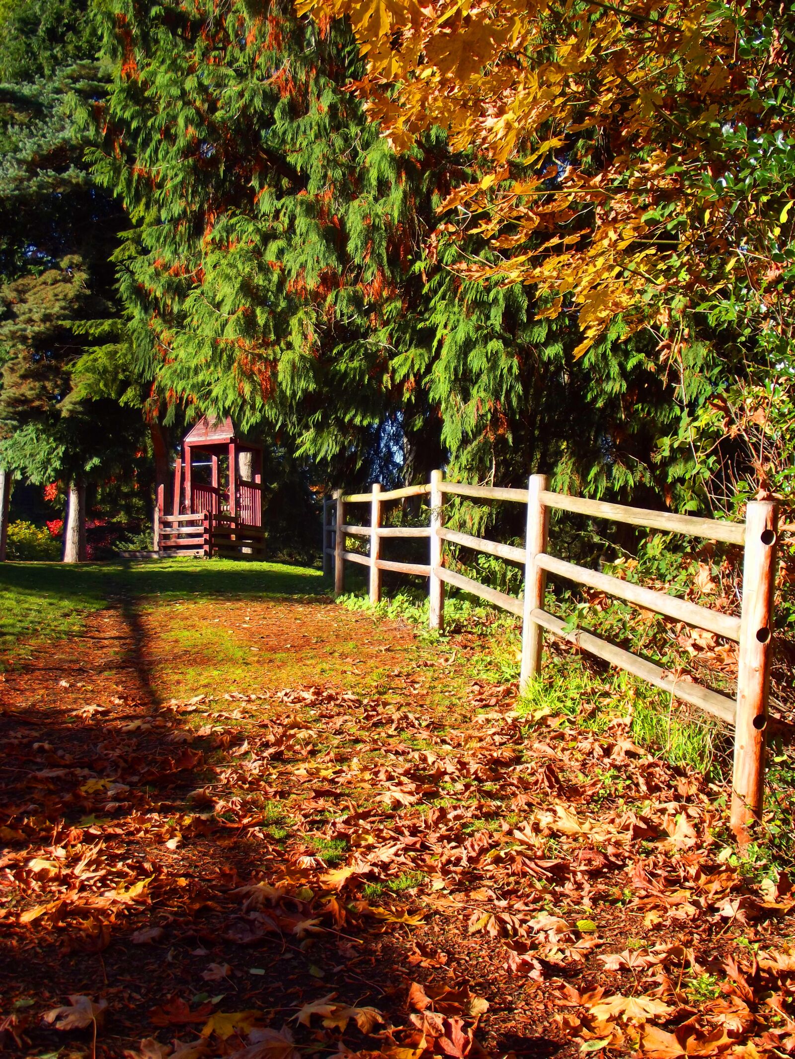 FujiFilm FinePix S2950 (FinePix S2990) sample photo. Fall, fence, autumn photography