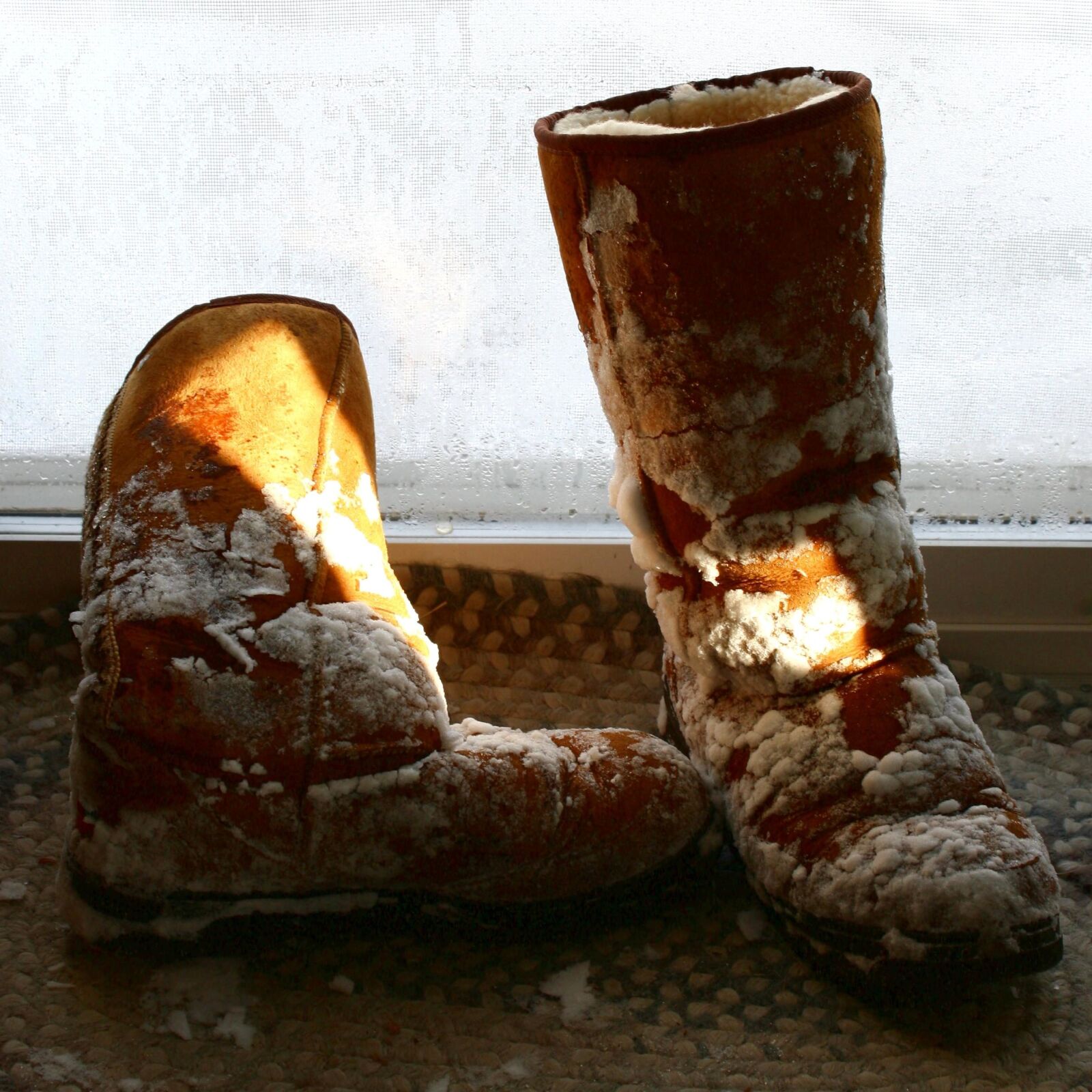 Canon EOS 1000D (EOS Digital Rebel XS / EOS Kiss F) sample photo. Snowy boots, shoes photography