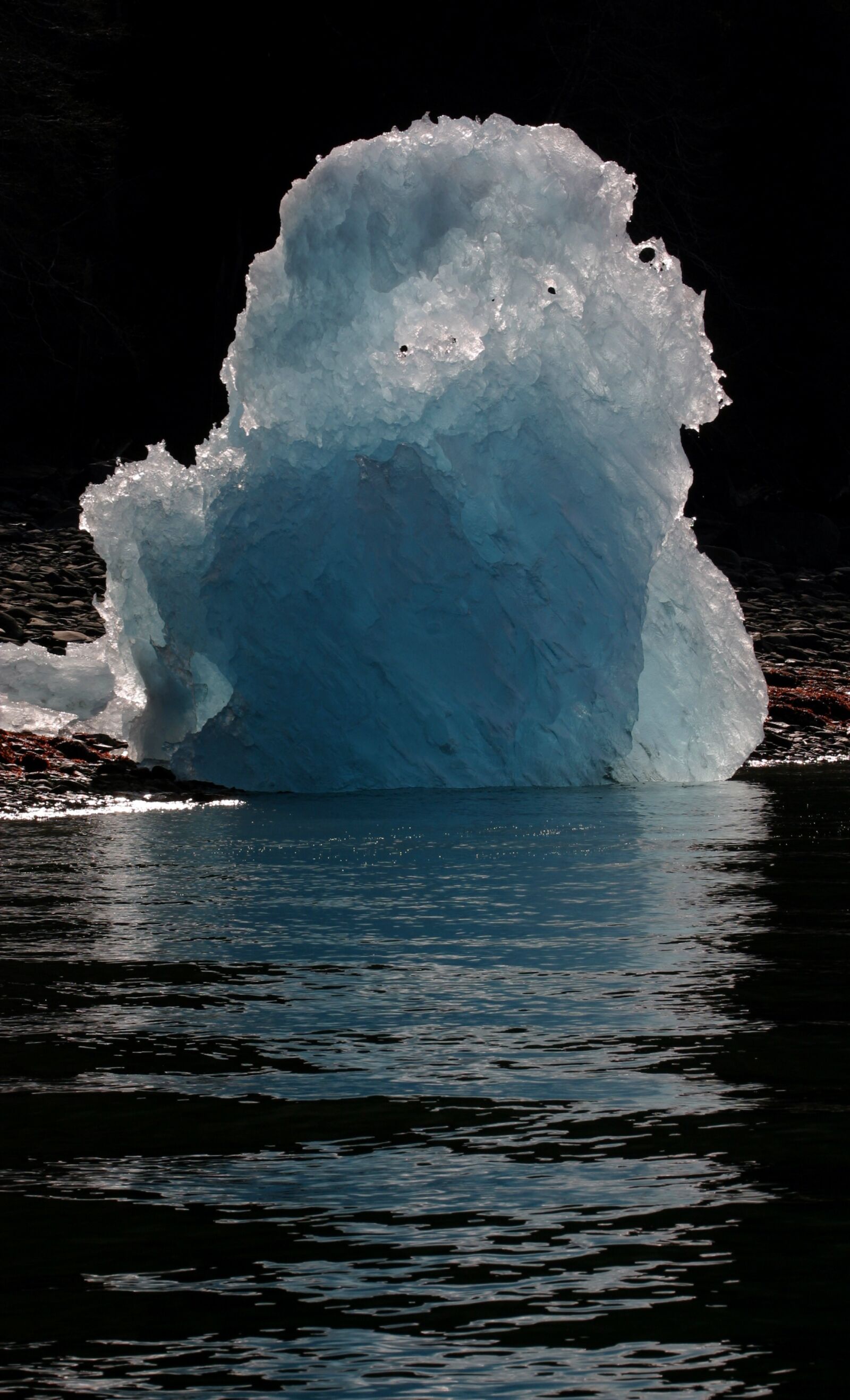Canon EOS D60 sample photo. Melting ice, alaska, reflection photography