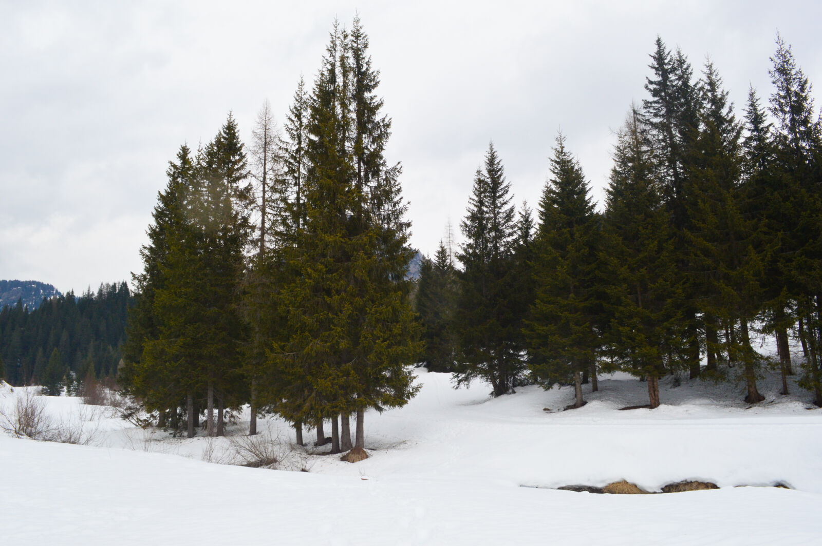 Nikon D3200 sample photo. Mountains, snow, trees photography