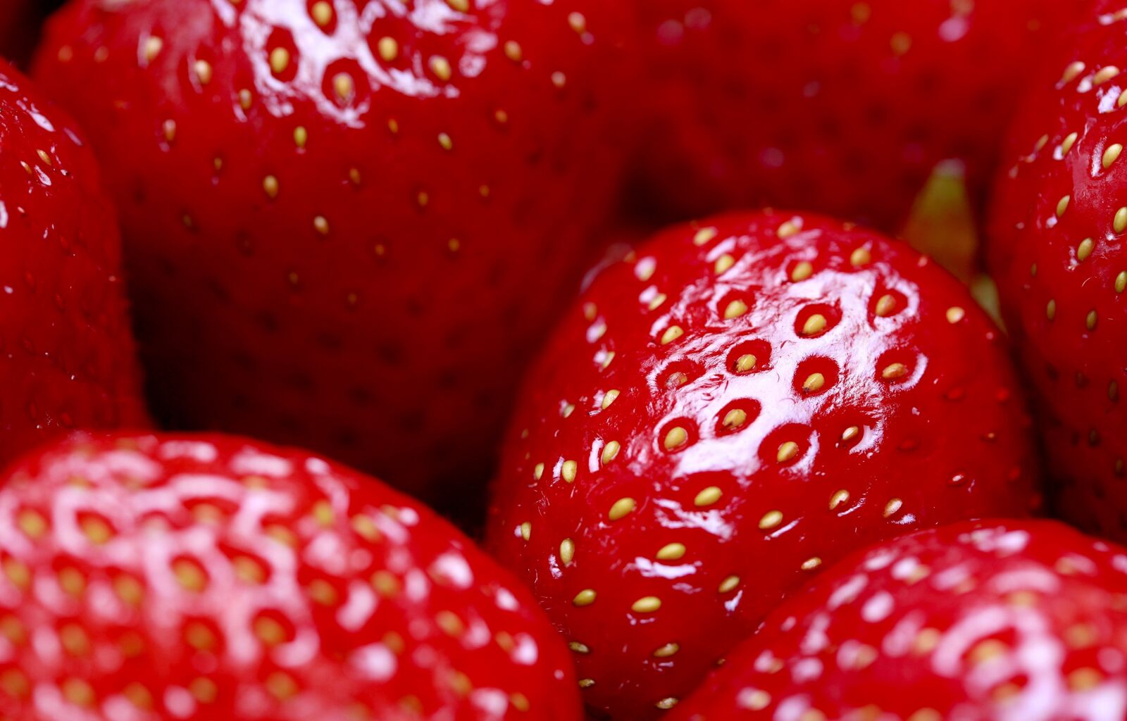Canon EOS 500D (EOS Rebel T1i / EOS Kiss X3) sample photo. Strawberries, fresh, background photography