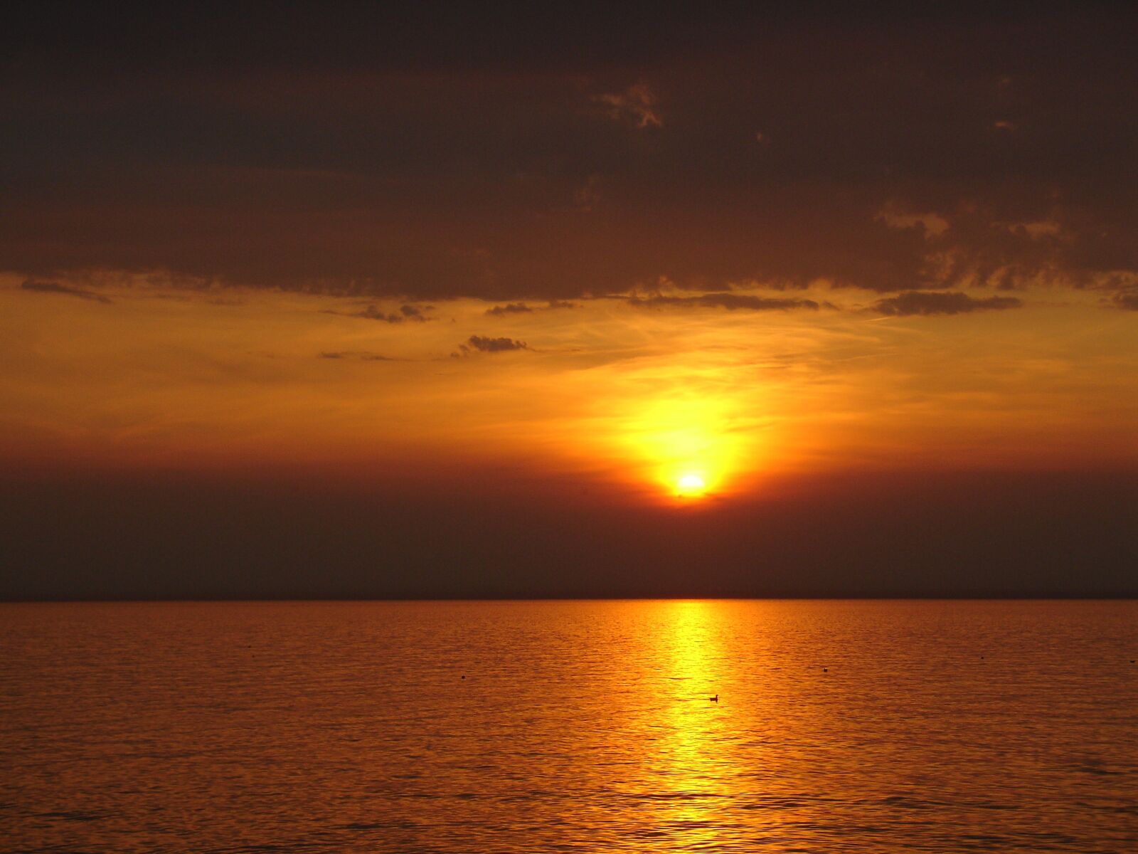 Sony DSC-V3 sample photo. Sunset, sea, baltic sea photography