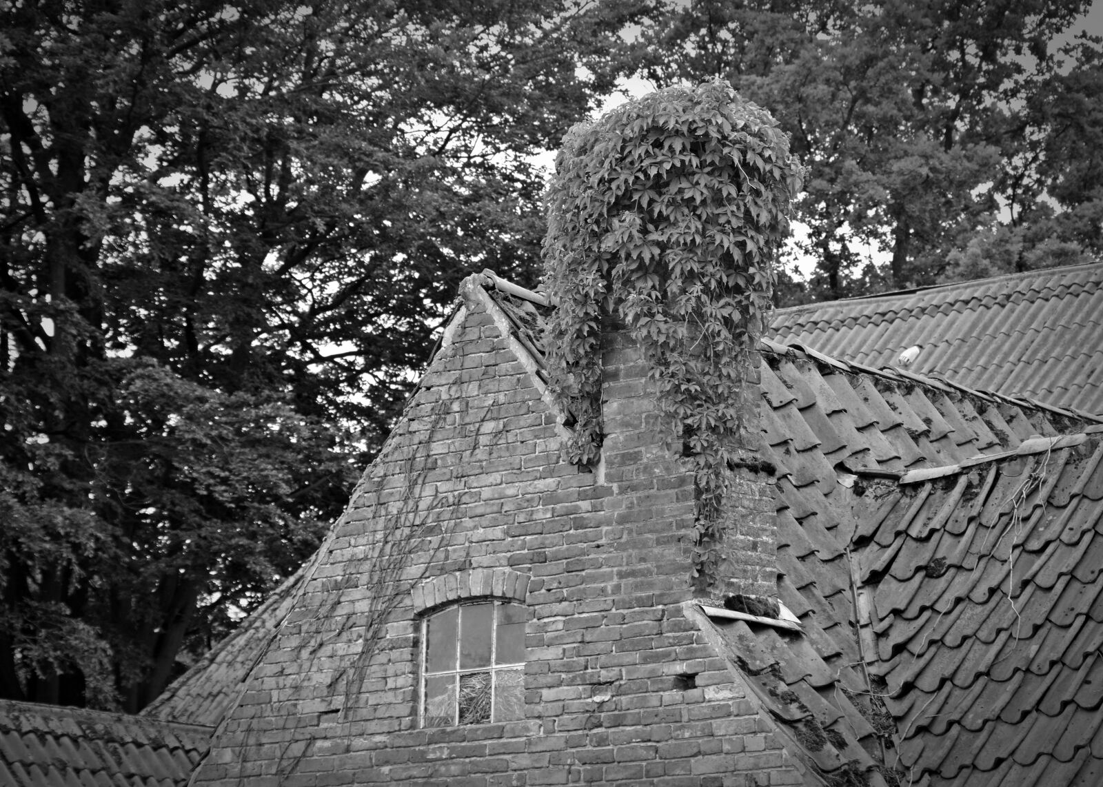 Nikon D5200 sample photo. Gable, old house, roof photography