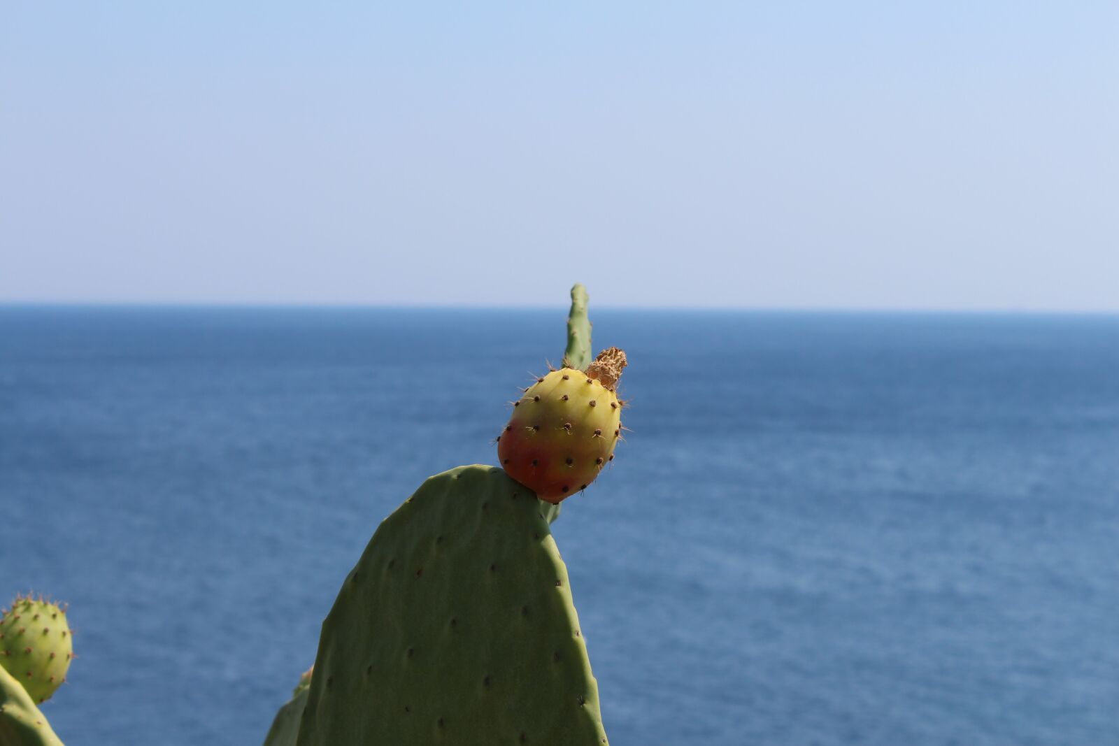 Canon EOS 700D (EOS Rebel T5i / EOS Kiss X7i) sample photo. Salento, italy, puglia photography