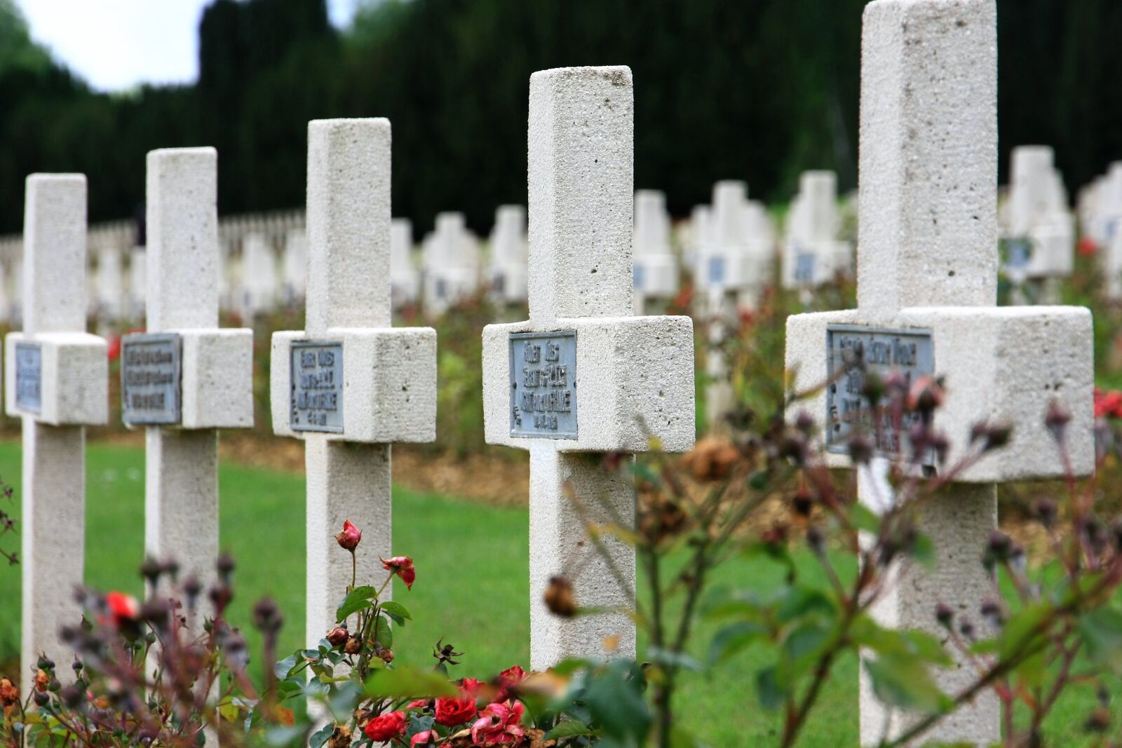 Canon EOS 40D sample photo. Cemetery, death, tombstone photography