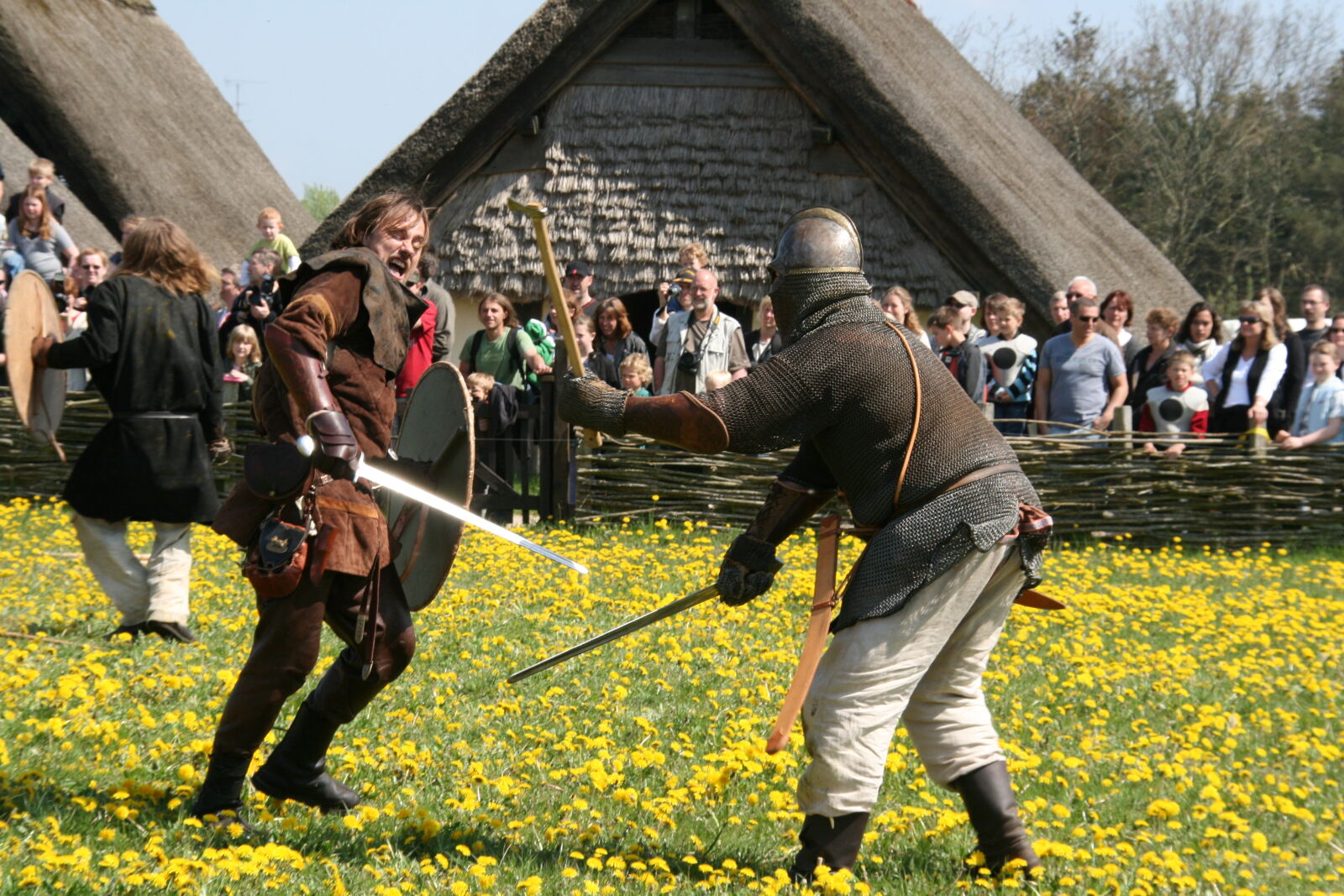 Sigma 18-200mm f/3.5-6.3 DC OS sample photo. Vikings photography
