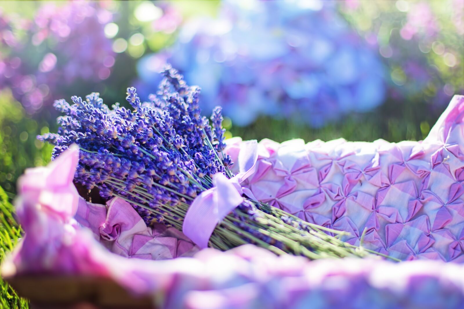 Canon EF 50mm F1.4 USM sample photo. Lavender, fresh, flowers photography