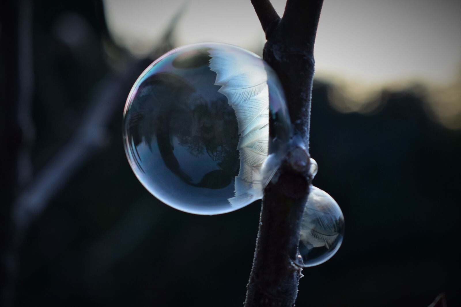 Nikon D5500 sample photo. Soap bubble, frozen, eiskristalle photography