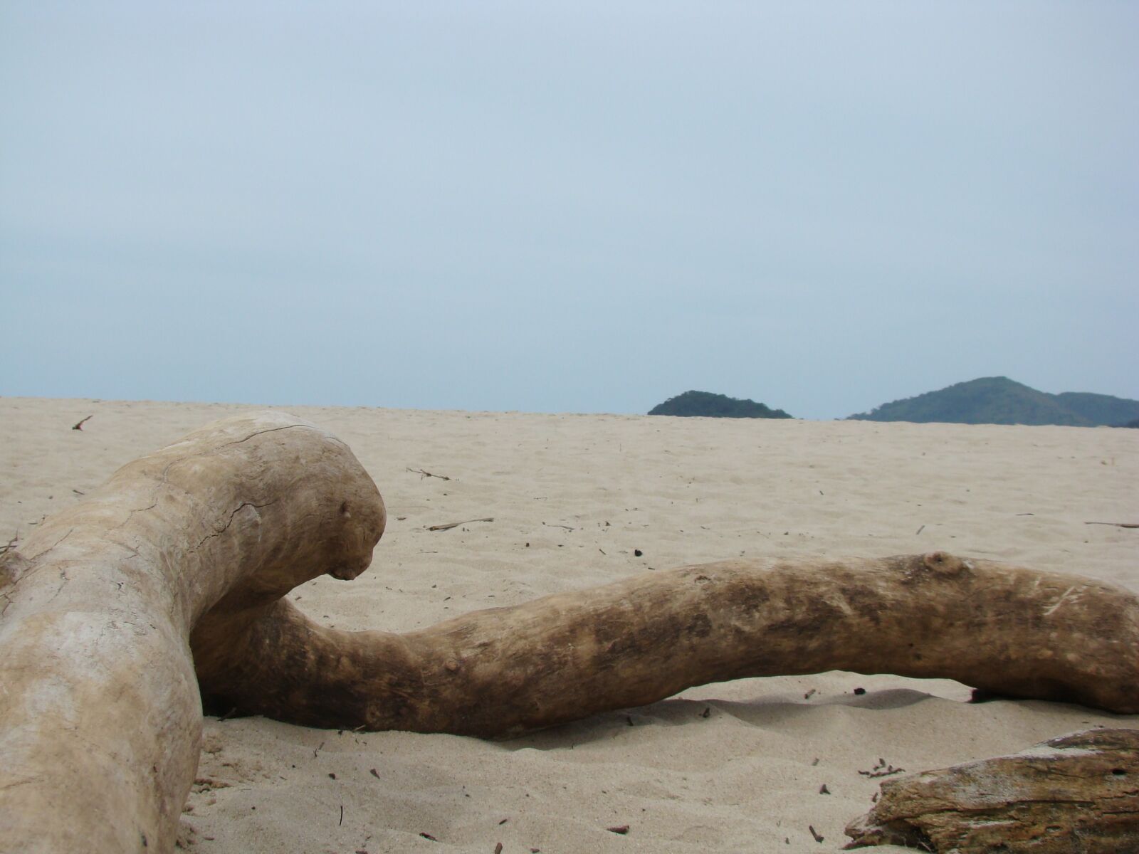 Sony DSC-H7 sample photo. Beach, sand, trunk photography