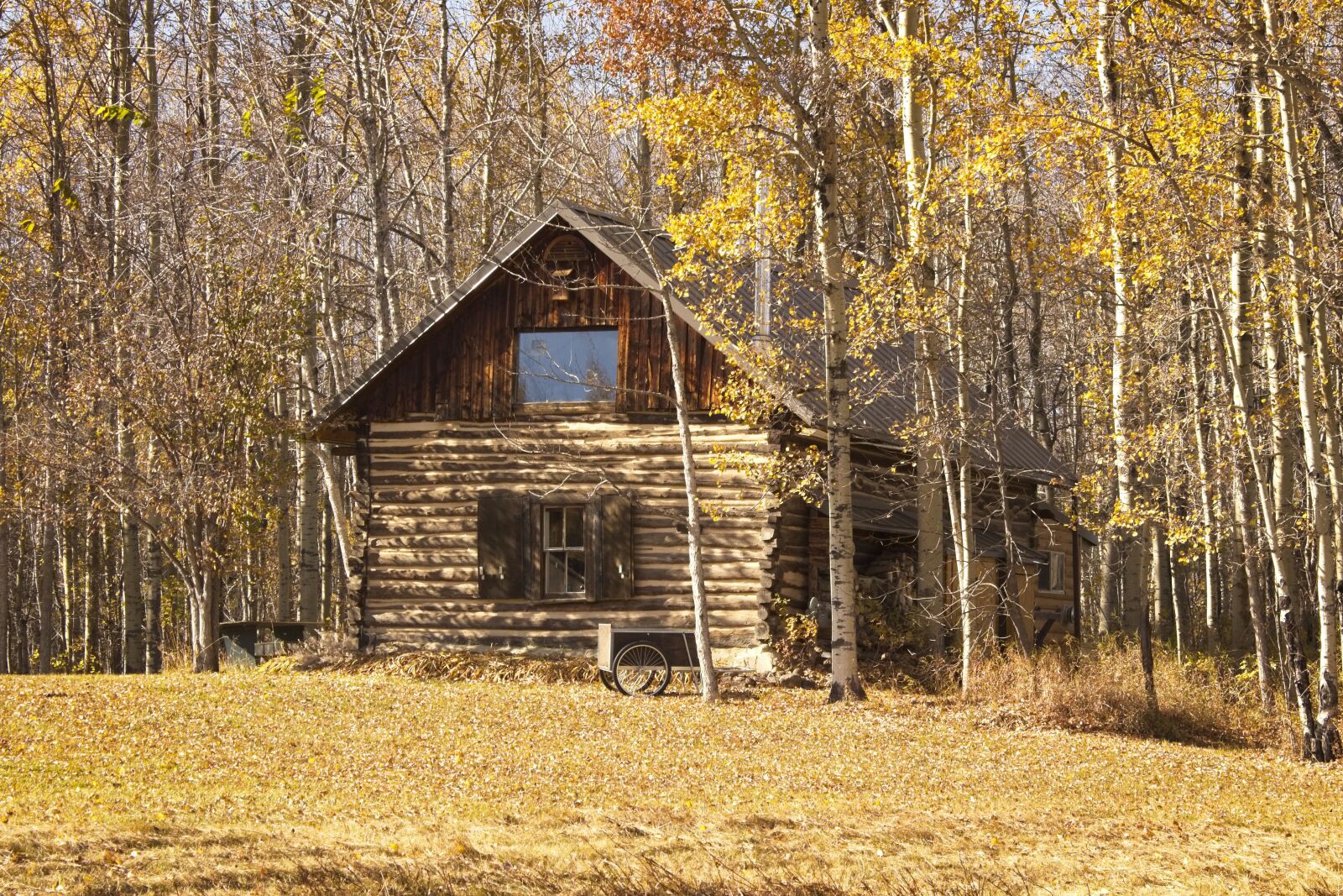 Canon EF-S 18-55mm F3.5-5.6 IS sample photo. Log cabin, aspen, forest photography