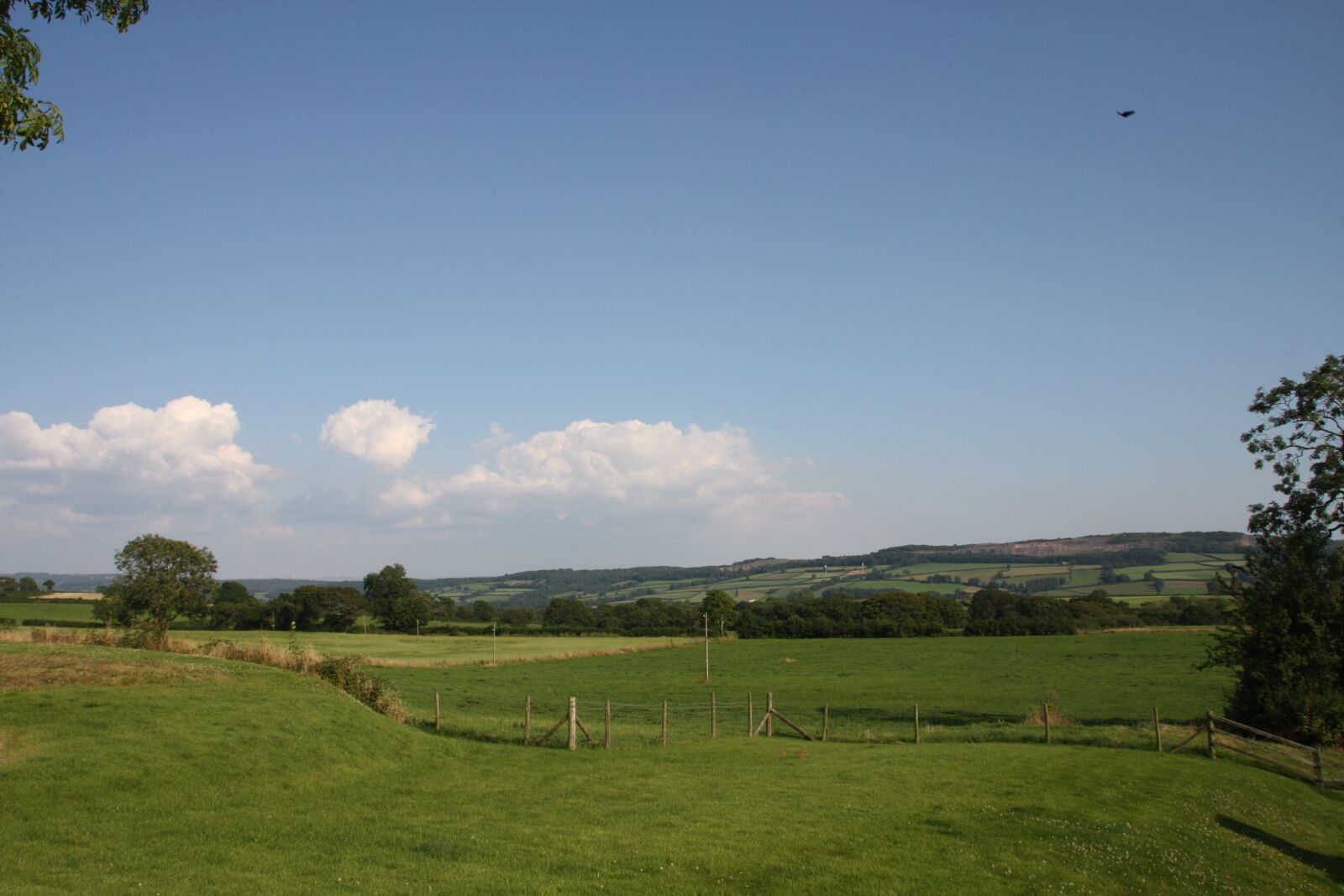 Canon EOS 450D (EOS Rebel XSi / EOS Kiss X2) sample photo. Wales, reported, graze photography