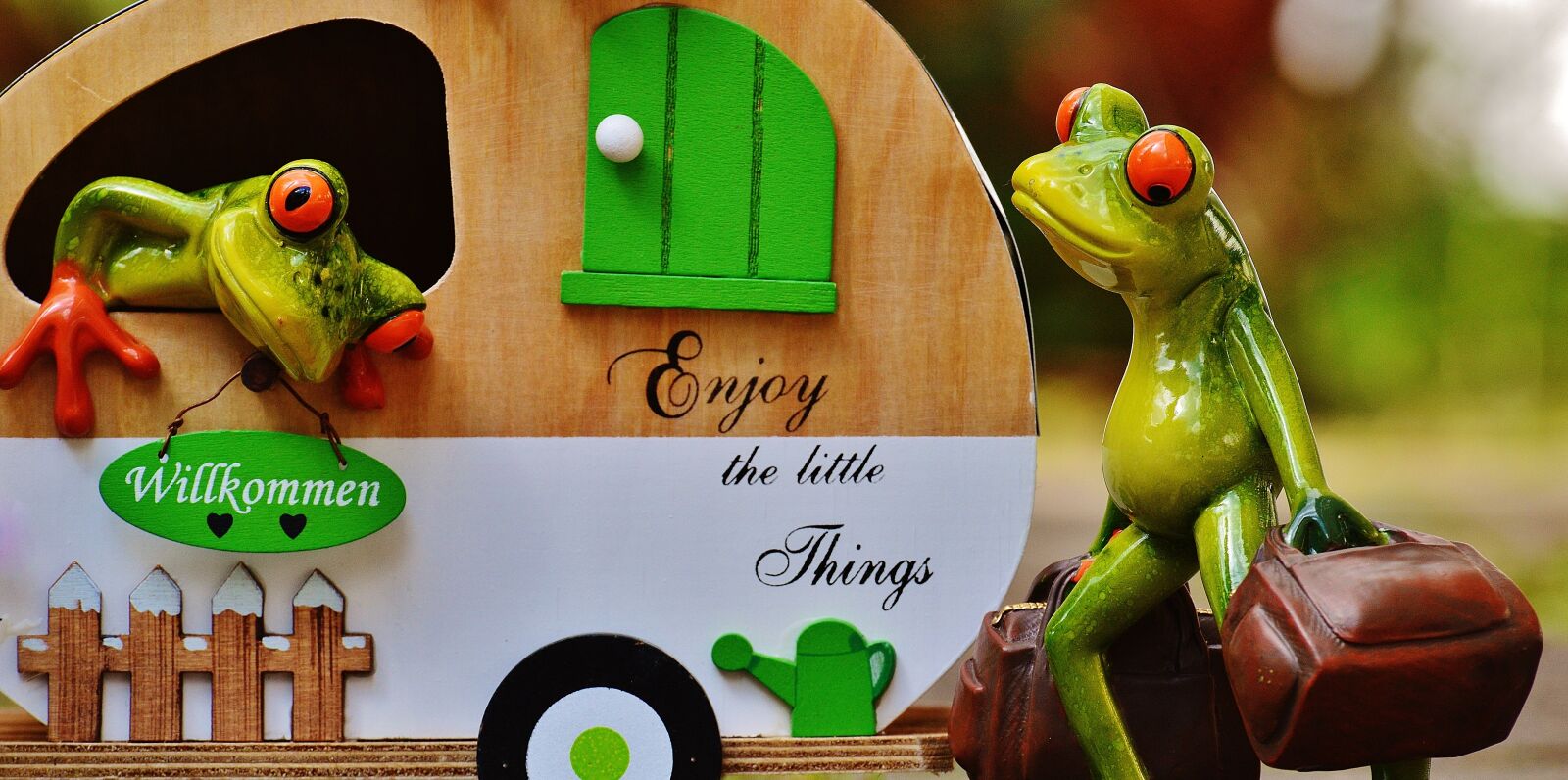 Nikon D3200 sample photo. Frogs, caravan, funny photography