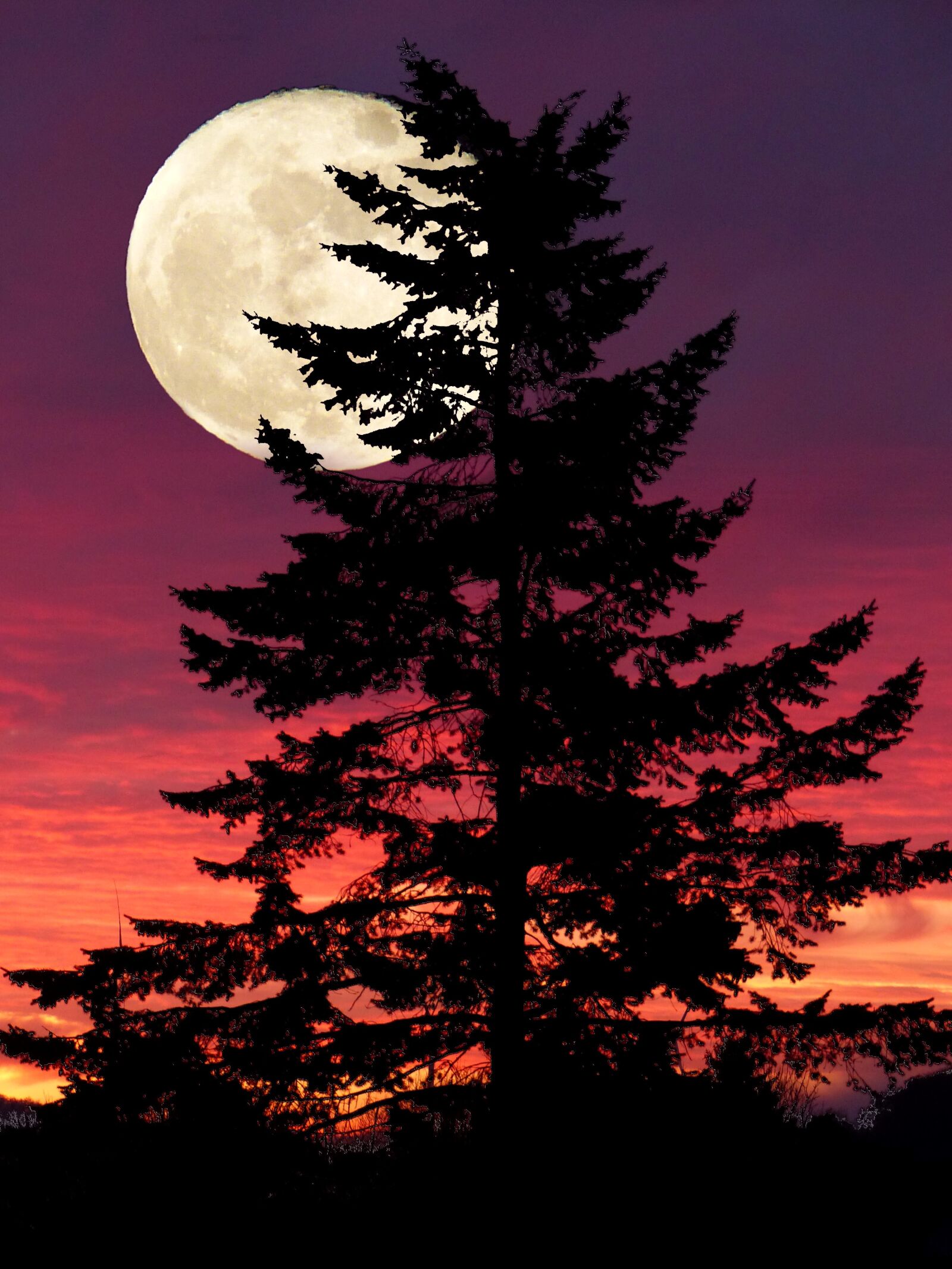 Panasonic Lumix DMC-FZ200 sample photo. Fantasy, light, full moon photography