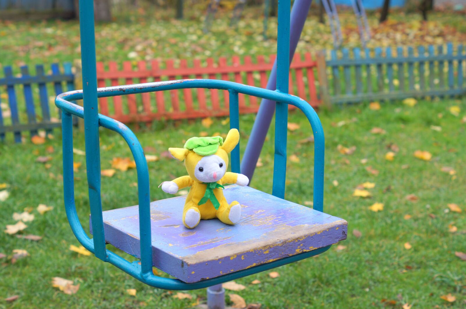 Sony SLT-A35 sample photo. Swing, toy, autumn photography