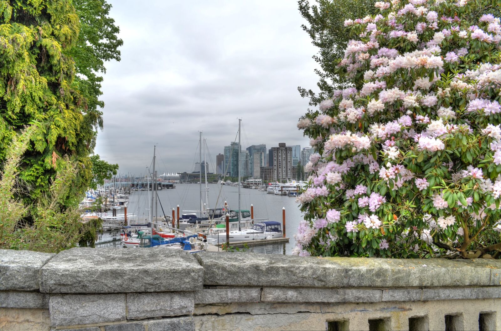 Nikon D5100 sample photo. Vancouver, marina, flowers photography