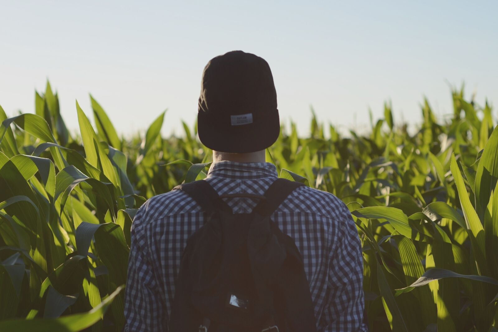 Nikon D3100 sample photo. Backpack, field, man photography