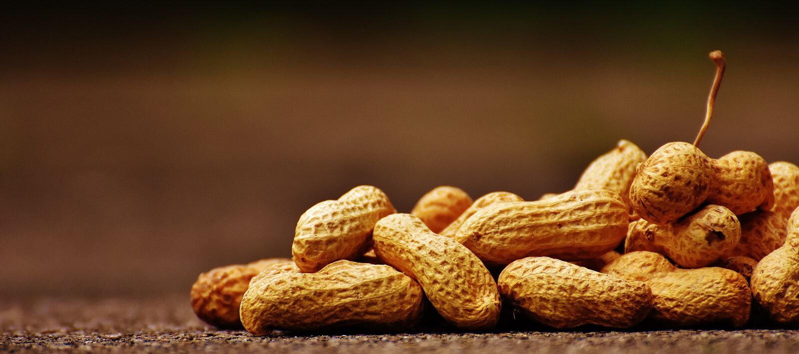 Nikon D7200 sample photo. Peanuts, shell, food photography